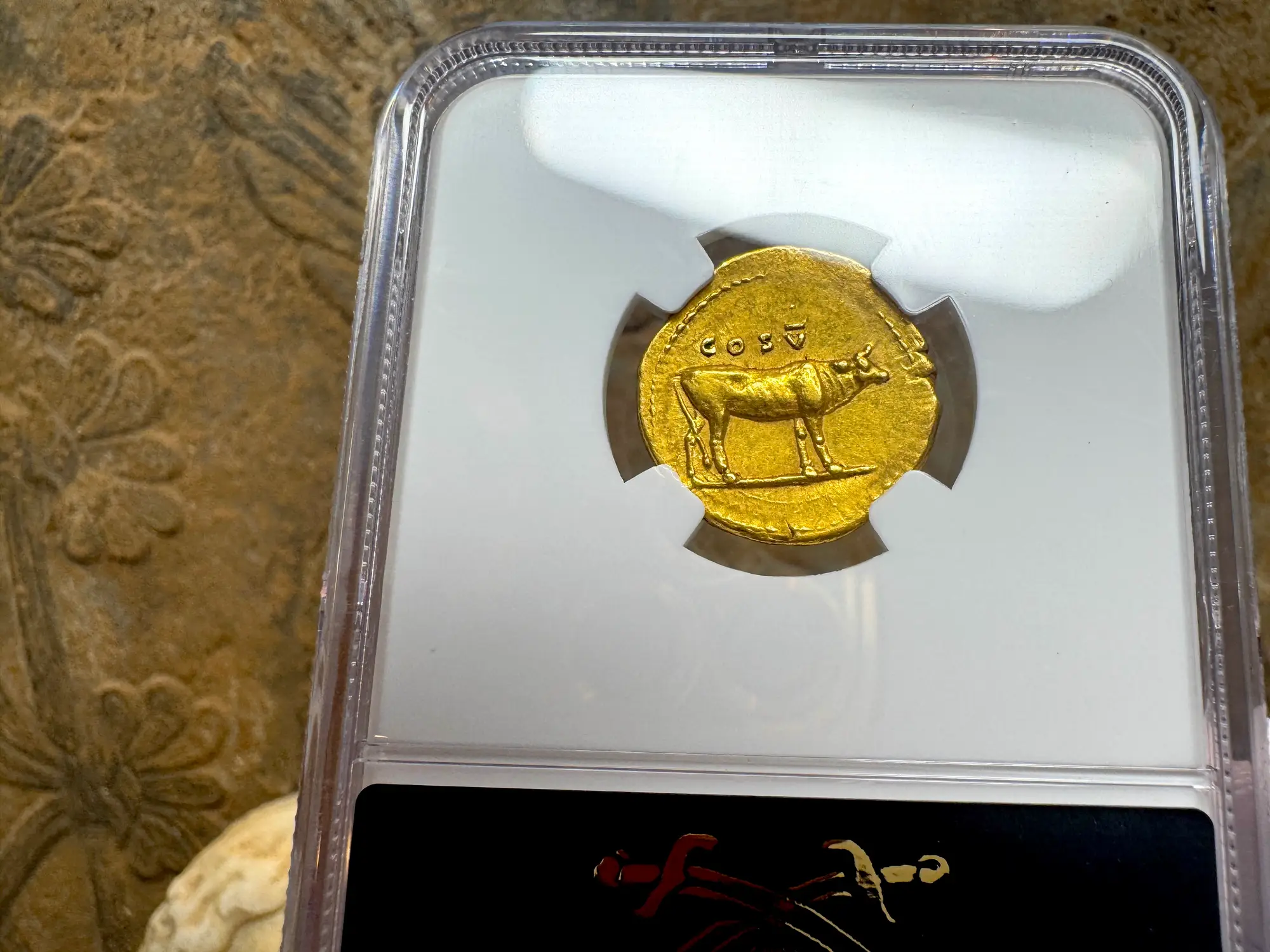 Roman Empire "Titus" 79AD NGC AU 5x5 Fine Style 2