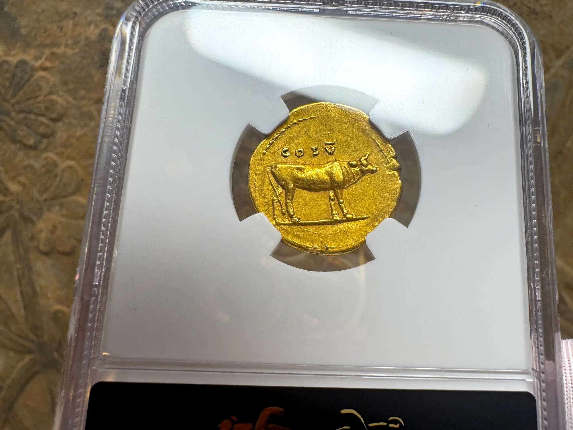 Roman Empire "Titus" 79AD NGC AU 5x5 Fine Style 9