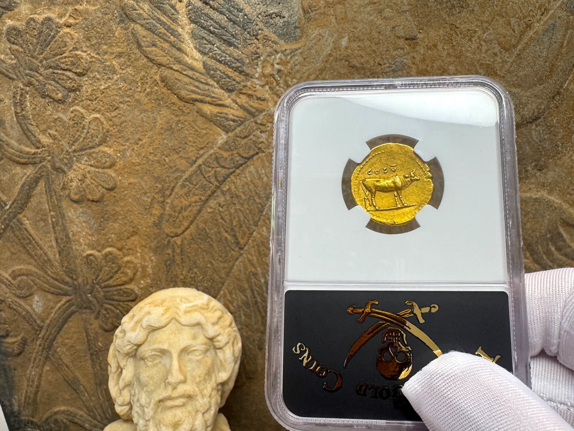 Roman Empire "Titus" 79AD NGC AU 5x5 Fine Style 10