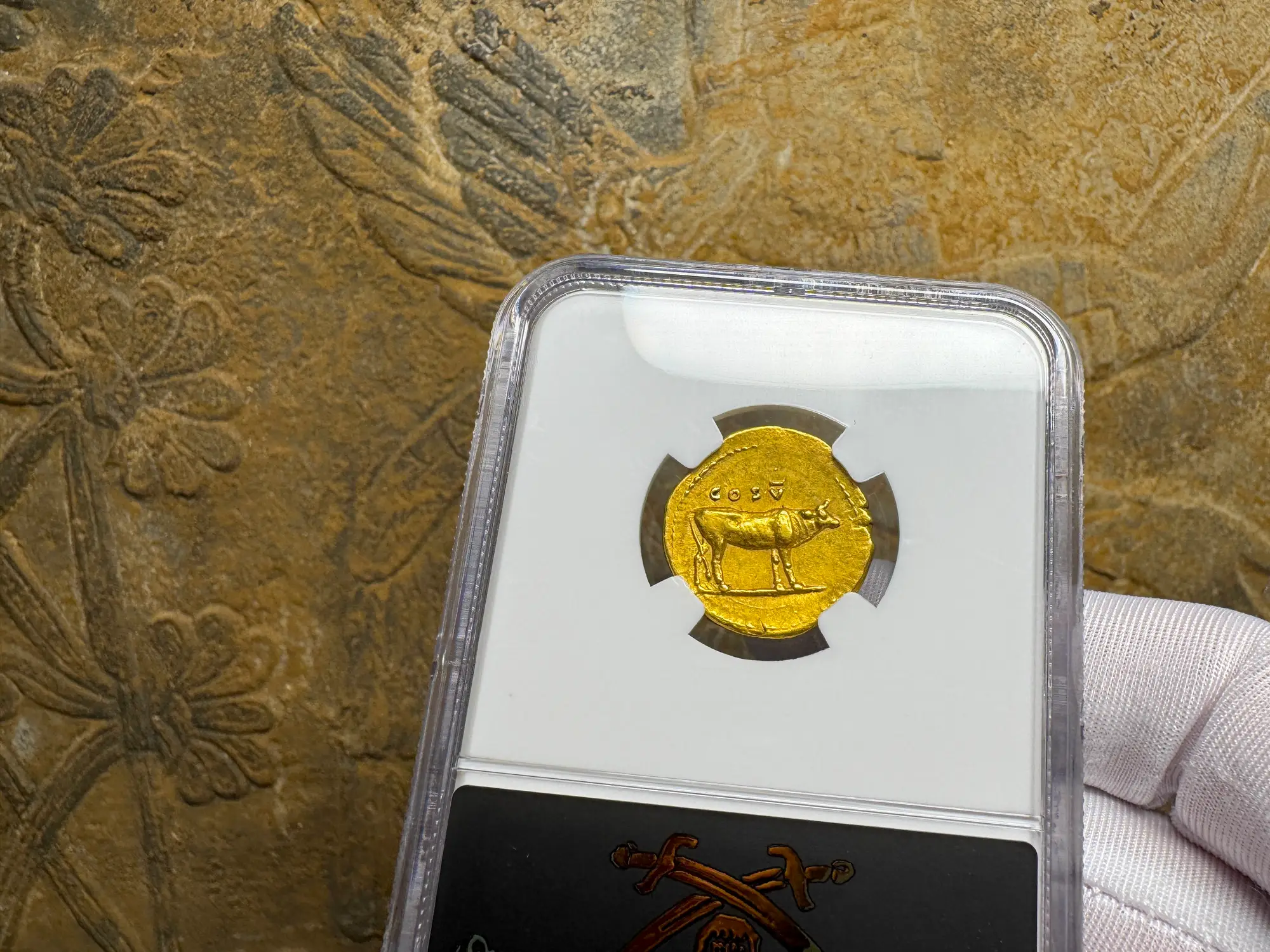 Roman Empire "Titus" 79AD NGC AU 5x5 Fine Style 14