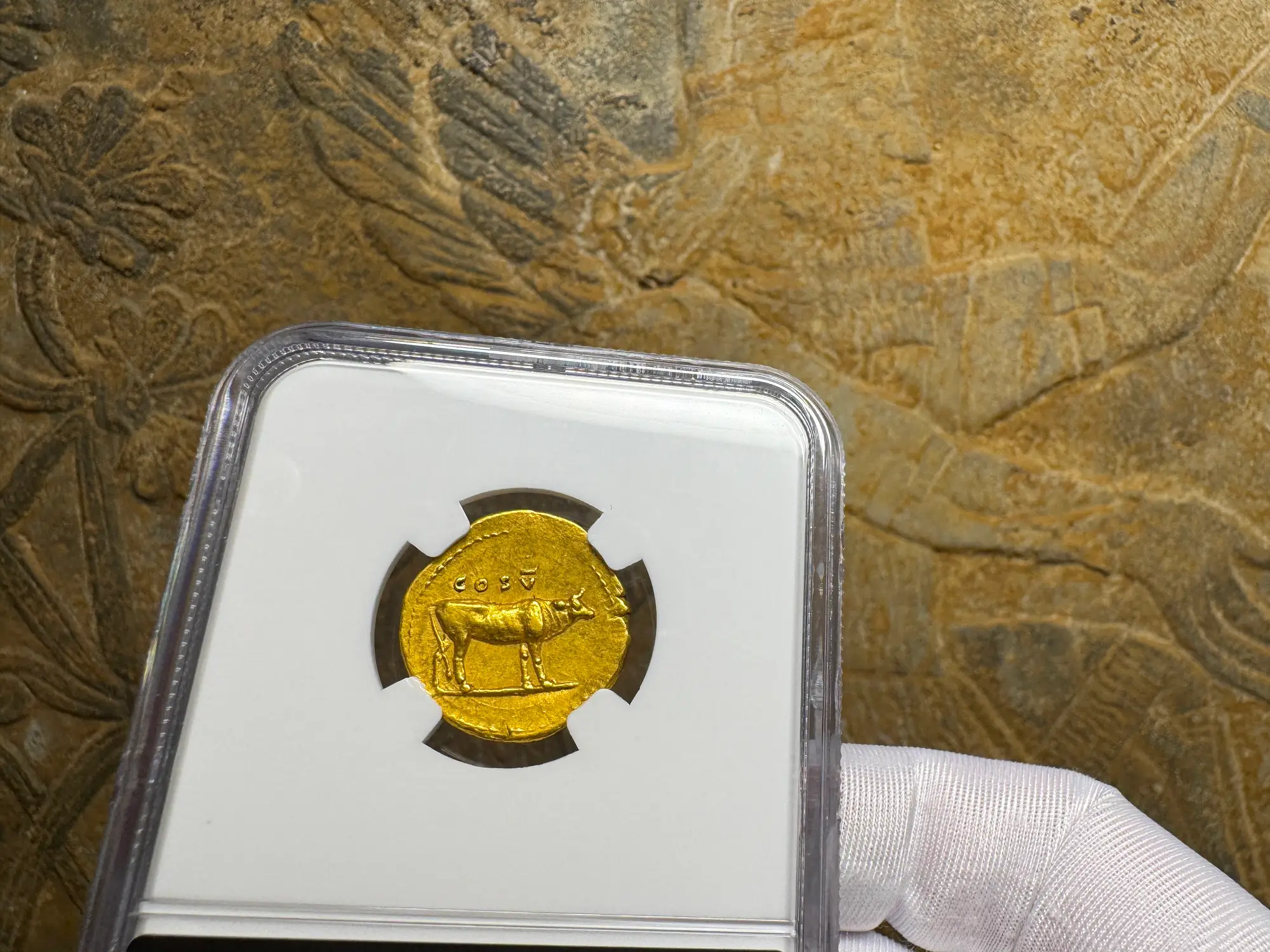 Roman Empire "Titus" 79AD NGC AU 5x5 Fine Style 15