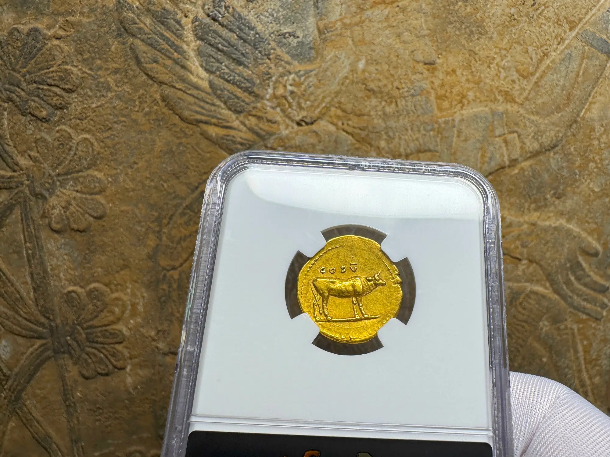 Roman Empire "Titus" 79AD NGC AU 5x5 Fine Style 16