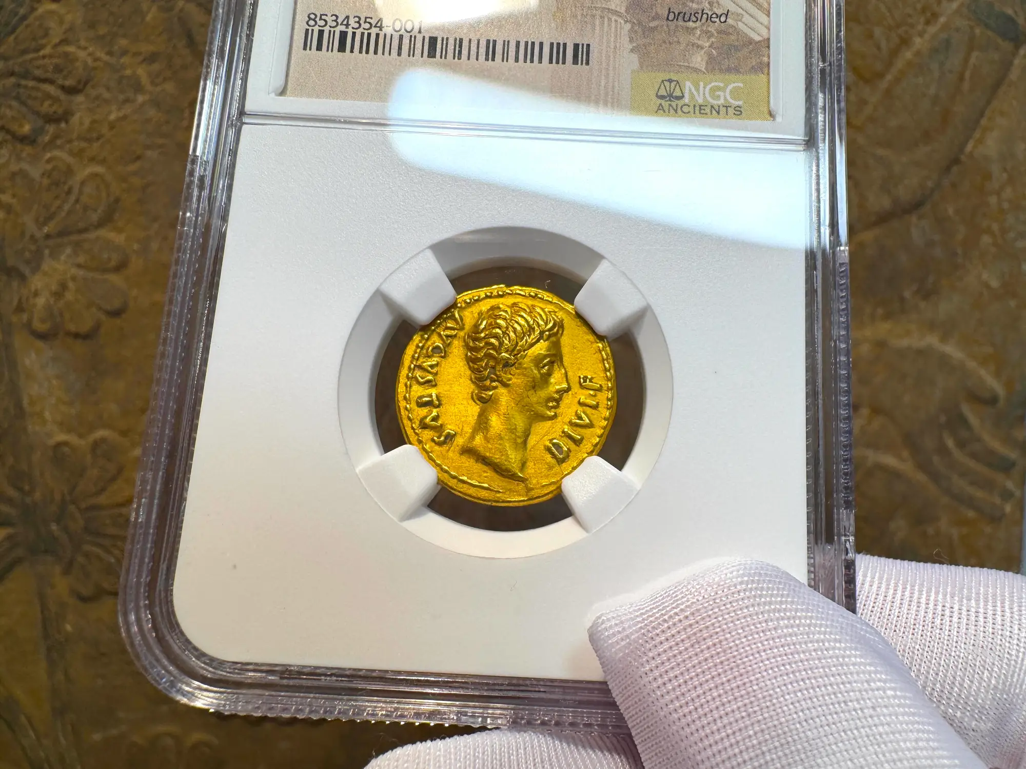 Roman Empire "Augustus | Bull" 2nd of 12 Caesars NGC XF 5x1 13