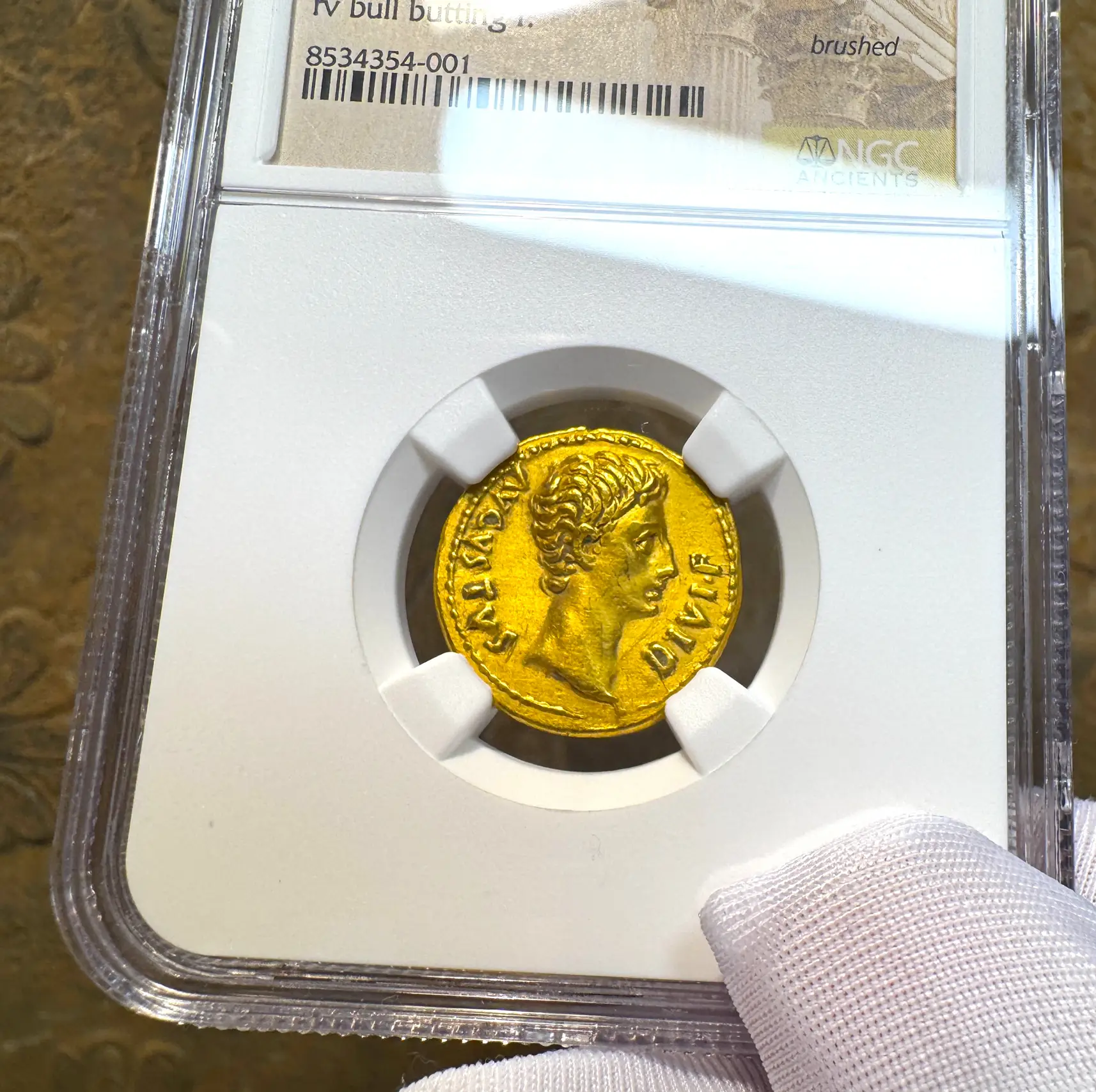 Roman Empire "Augustus | Bull" 2nd of 12 Caesars NGC XF 5x1 4