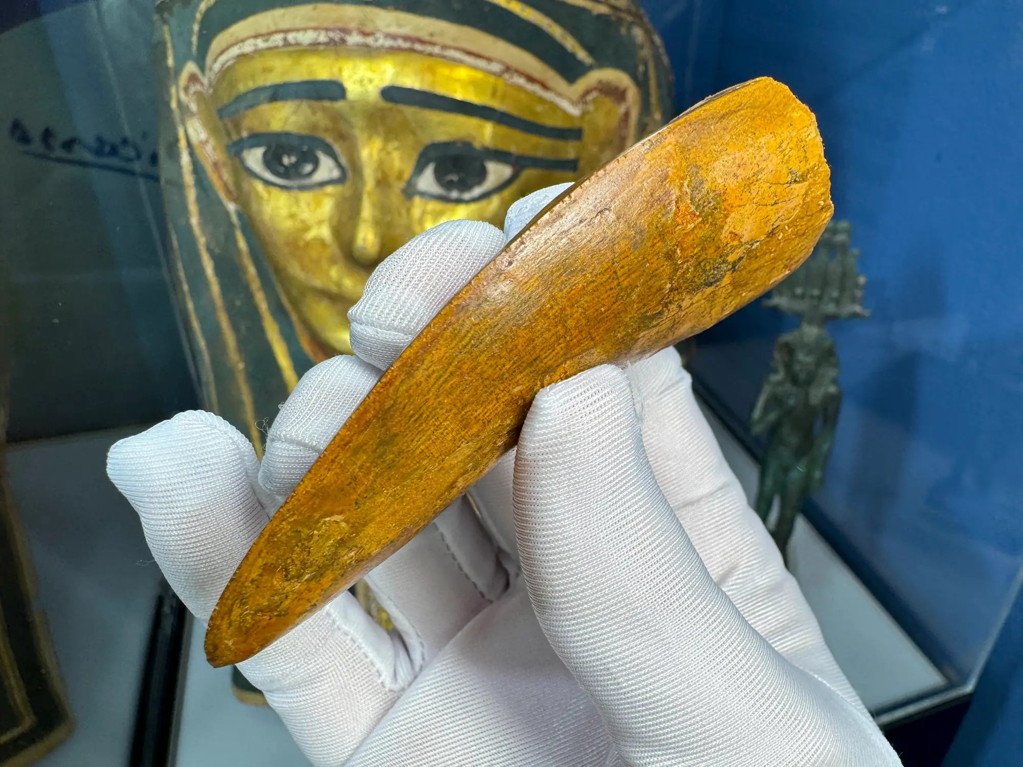 "African T-Rex Tooth" Carcharodontos Tooth 6