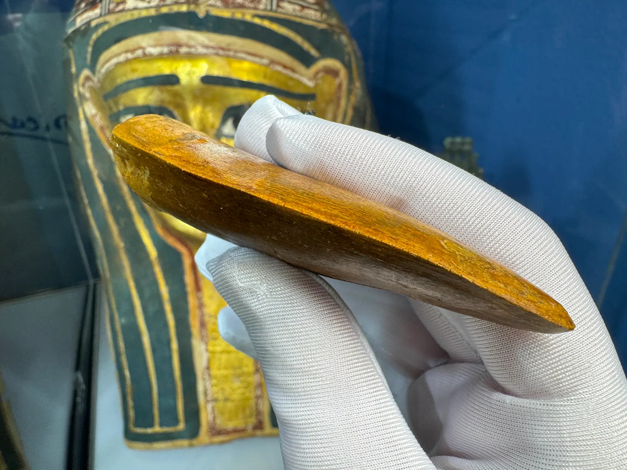 "African T-Rex Tooth" Carcharodontos Tooth 9