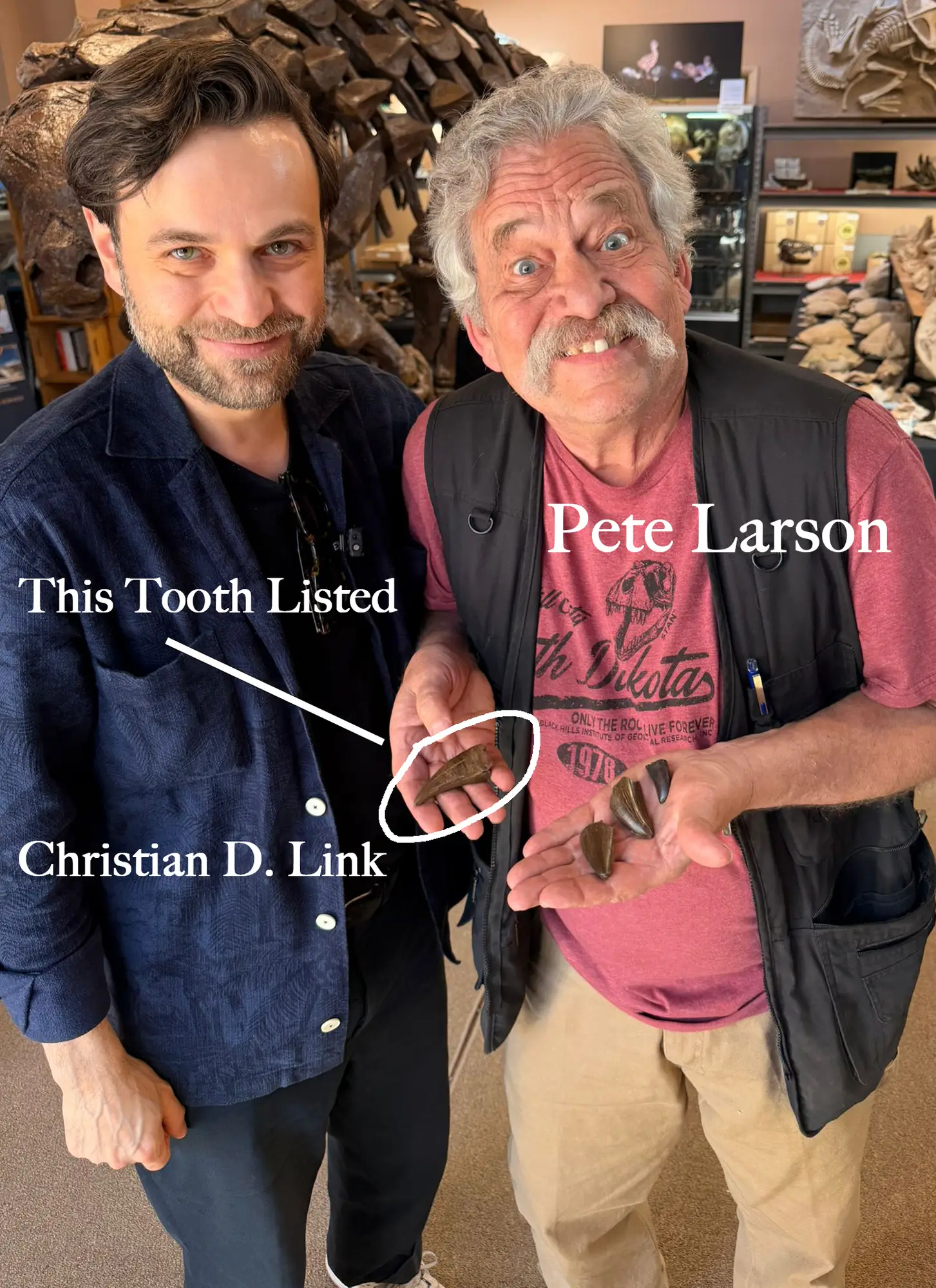 Pete Larson Authentic T-Rex Tooth Tyrannosaurus Rex *Restorations* 5