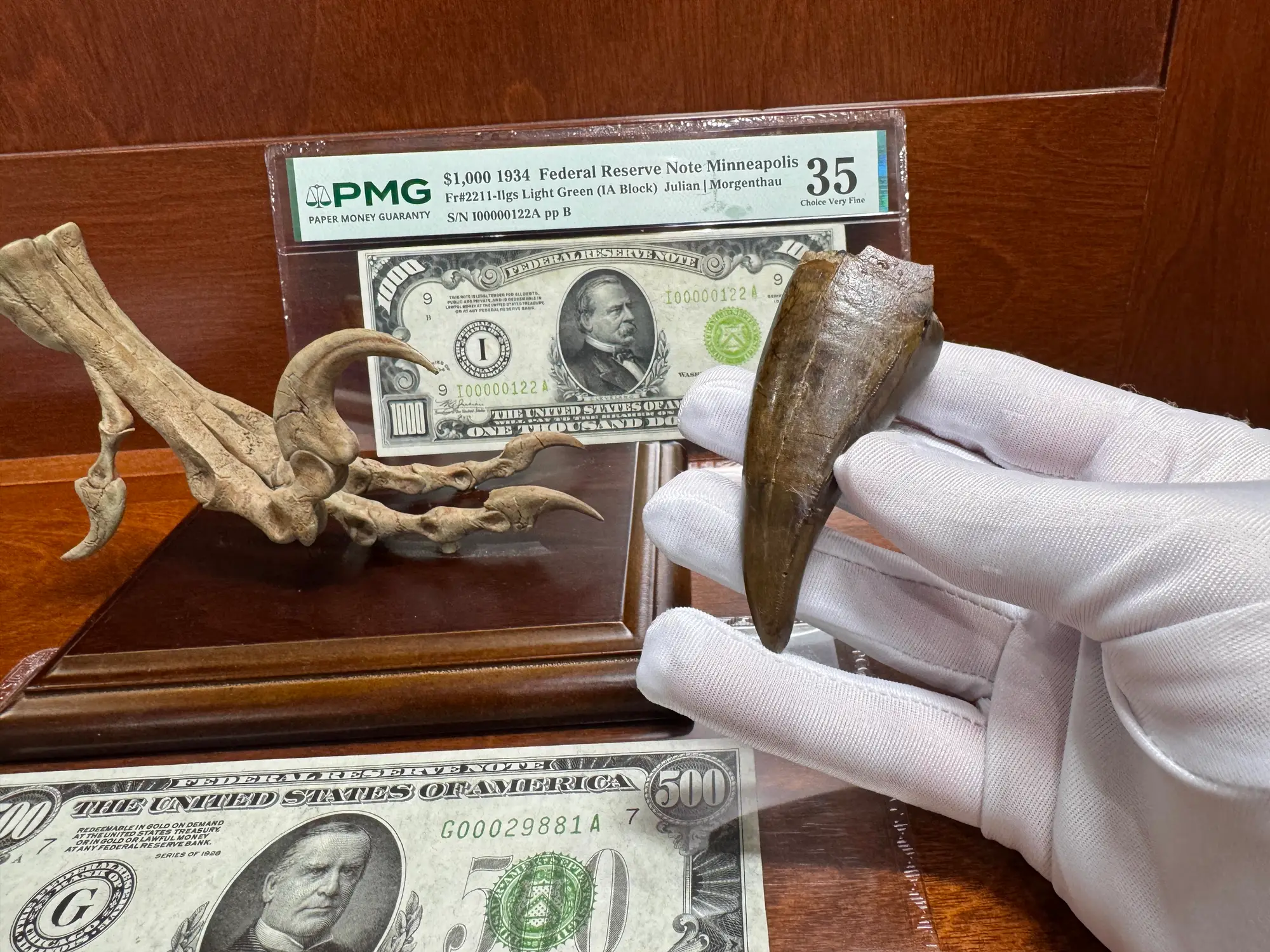 Pete Larson Authentic T-Rex Tooth Tyrannosaurus Rex *Restorations* 6