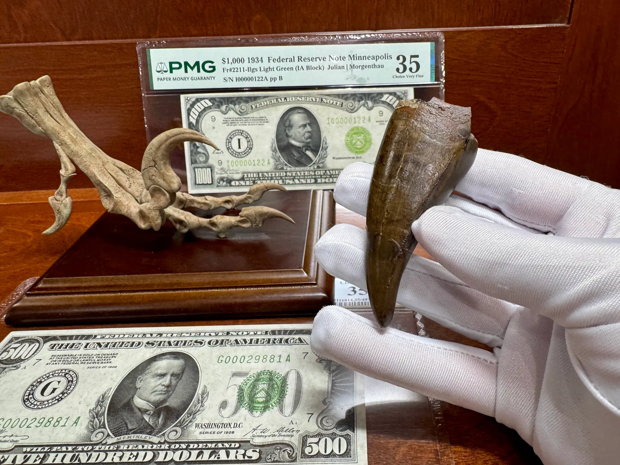 Pete Larson Authentic T-Rex Tooth Tyrannosaurus Rex *Restorations* 7