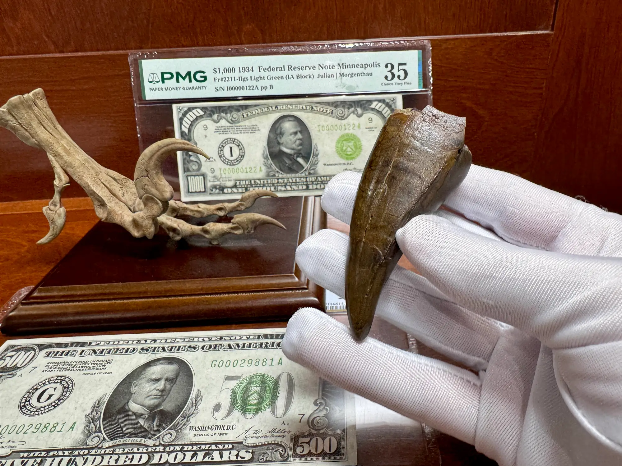 Pete Larson Authentic T-Rex Tooth Tyrannosaurus Rex *Restorations* 8