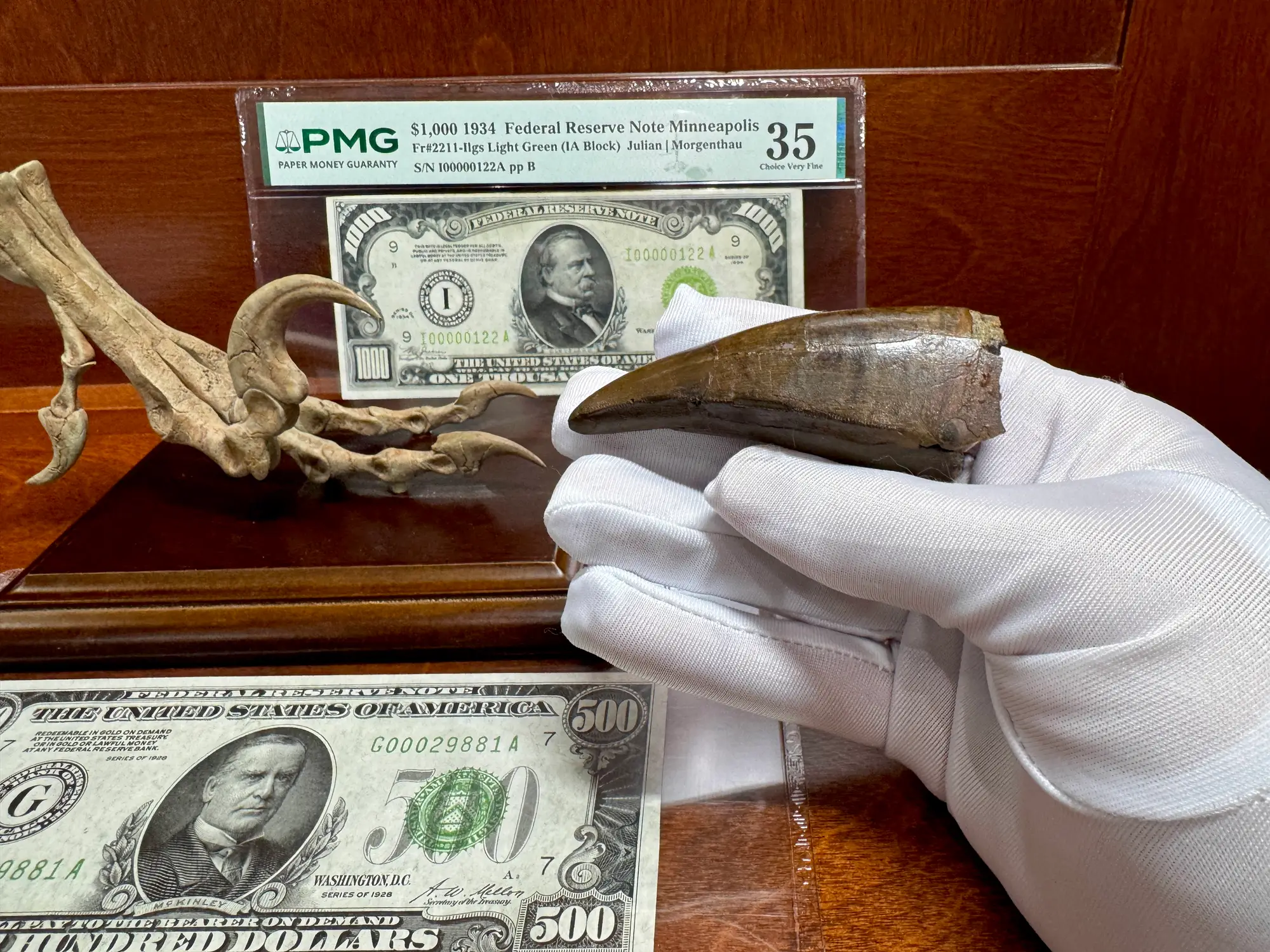 Pete Larson Authentic T-Rex Tooth Tyrannosaurus Rex *Restorations* 9