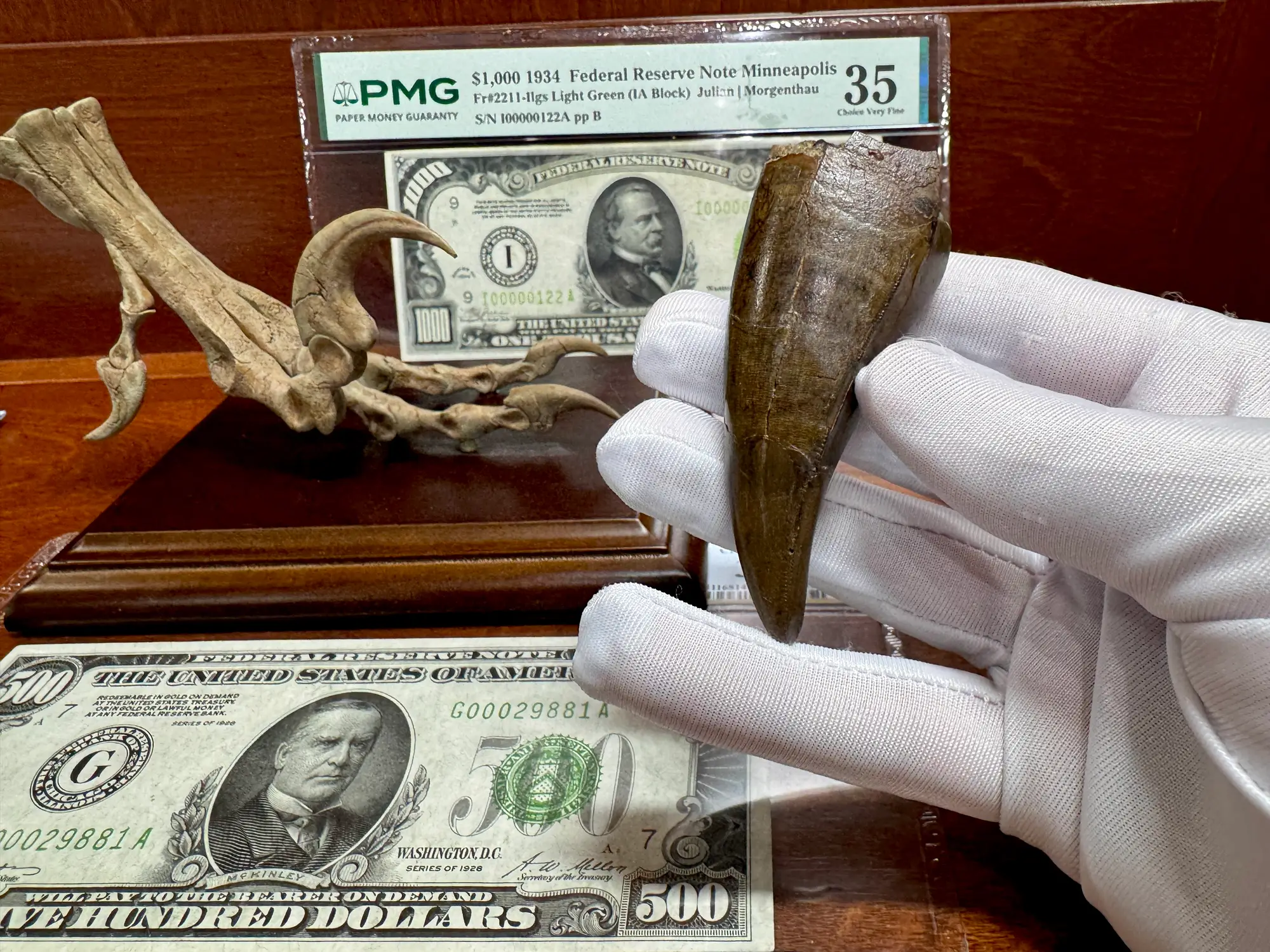 Pete Larson Authentic T-Rex Tooth Tyrannosaurus Rex *Restorations* 10