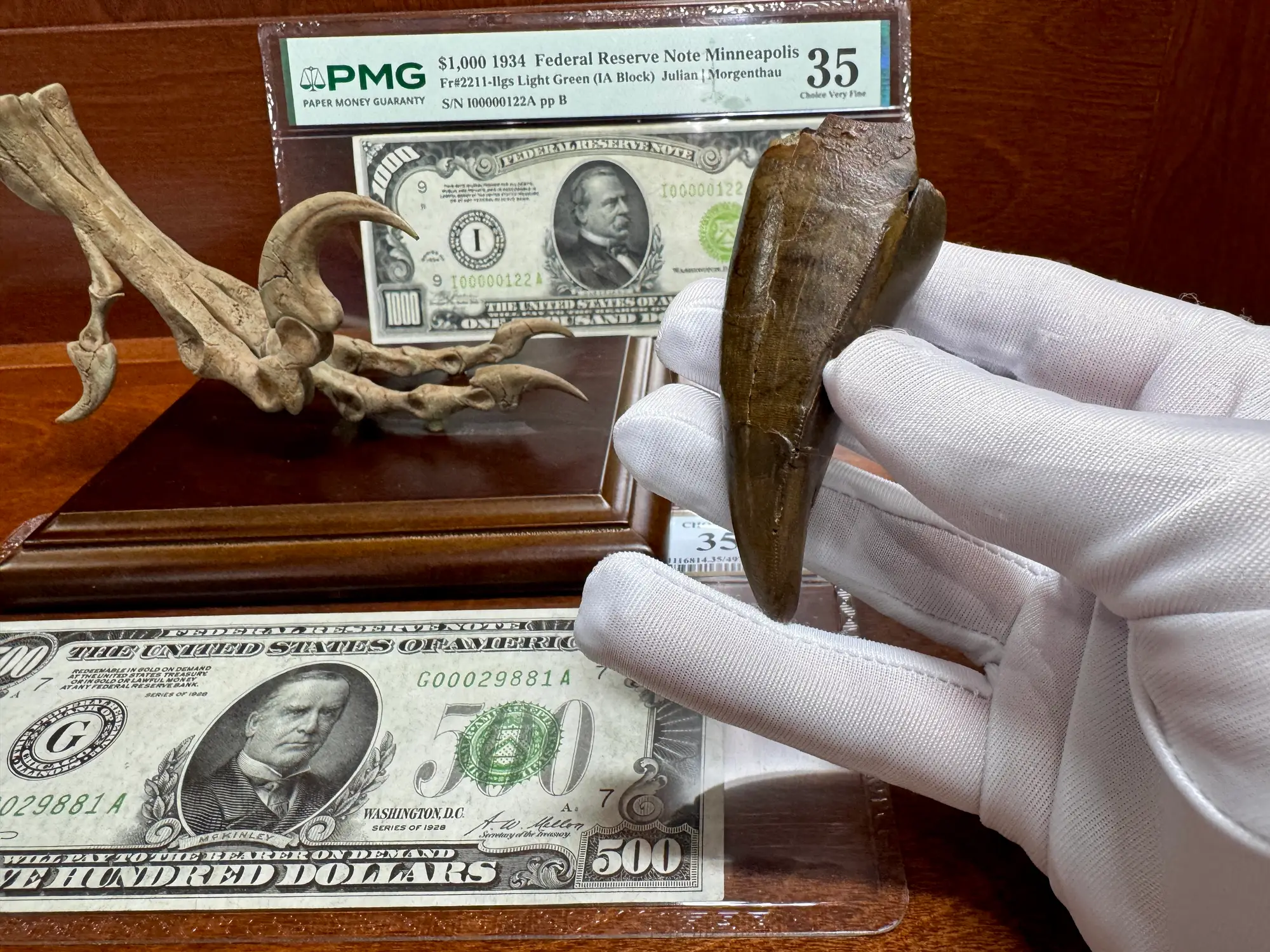 Pete Larson Authentic T-Rex Tooth Tyrannosaurus Rex *Restorations* 11