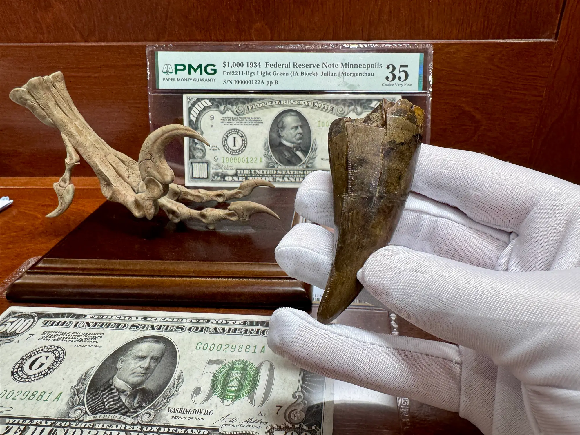 Pete Larson Authentic T-Rex Tooth Tyrannosaurus Rex *Restorations* 12