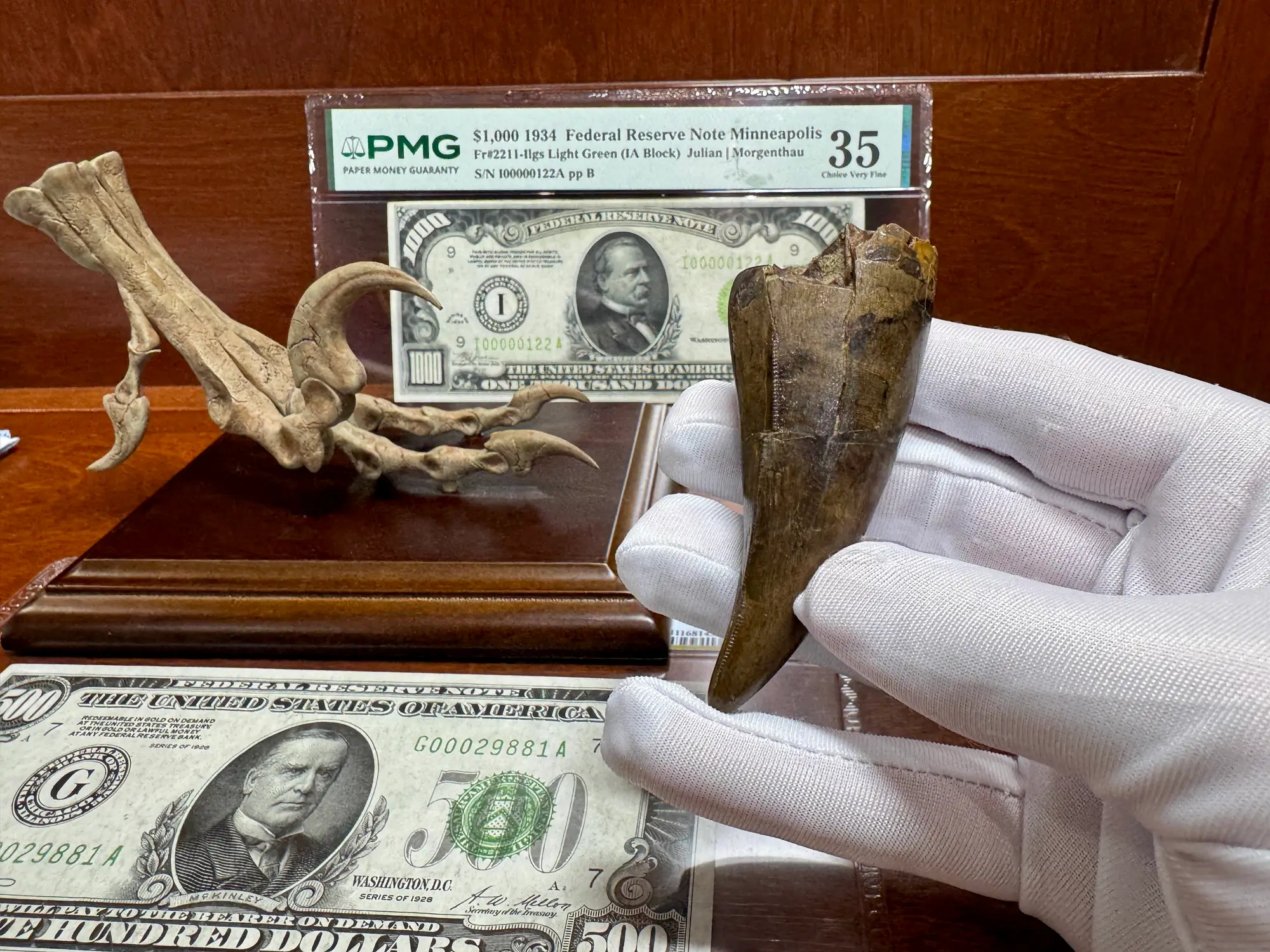 Pete Larson Authentic T-Rex Tooth Tyrannosaurus Rex *Restorations* 13