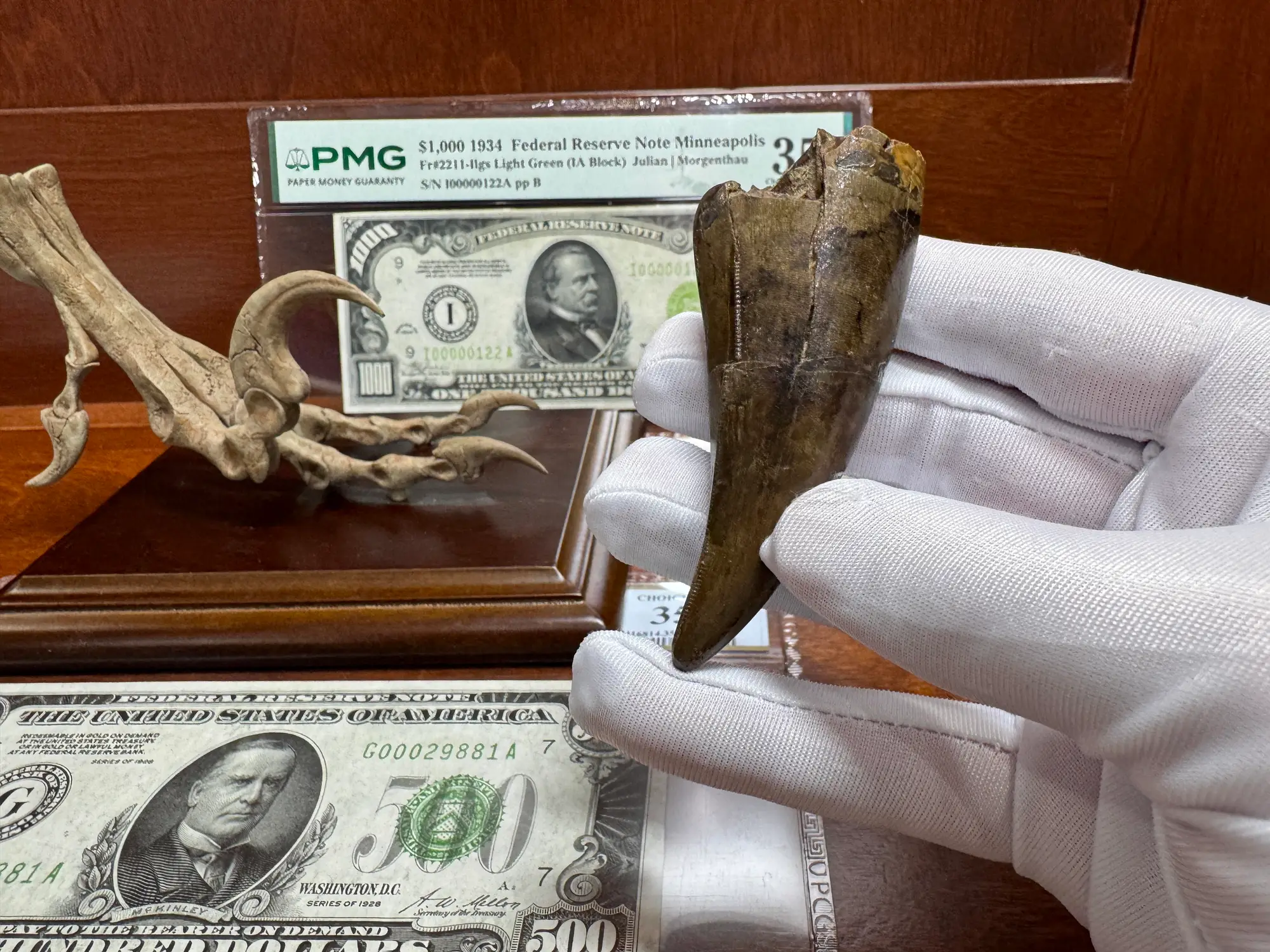 Pete Larson Authentic T-Rex Tooth Tyrannosaurus Rex *Restorations* 15