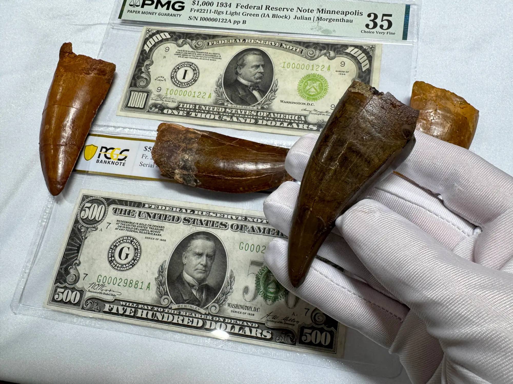 Pete Larson Authentic T-Rex Tooth Tyrannosaurus Rex *Restorations* 16