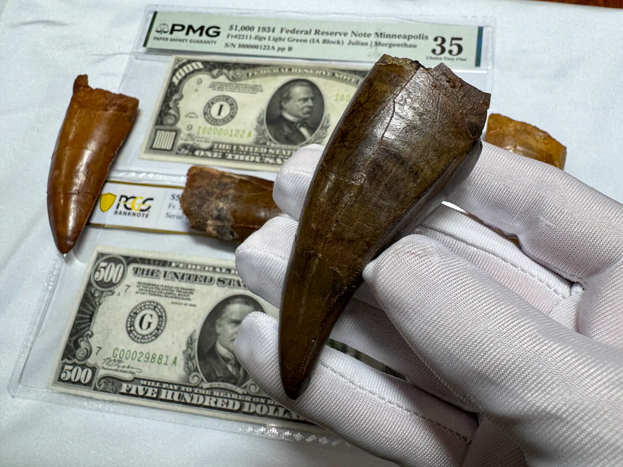 Pete Larson Authentic T-Rex Tooth Tyrannosaurus Rex *Restorations* 17