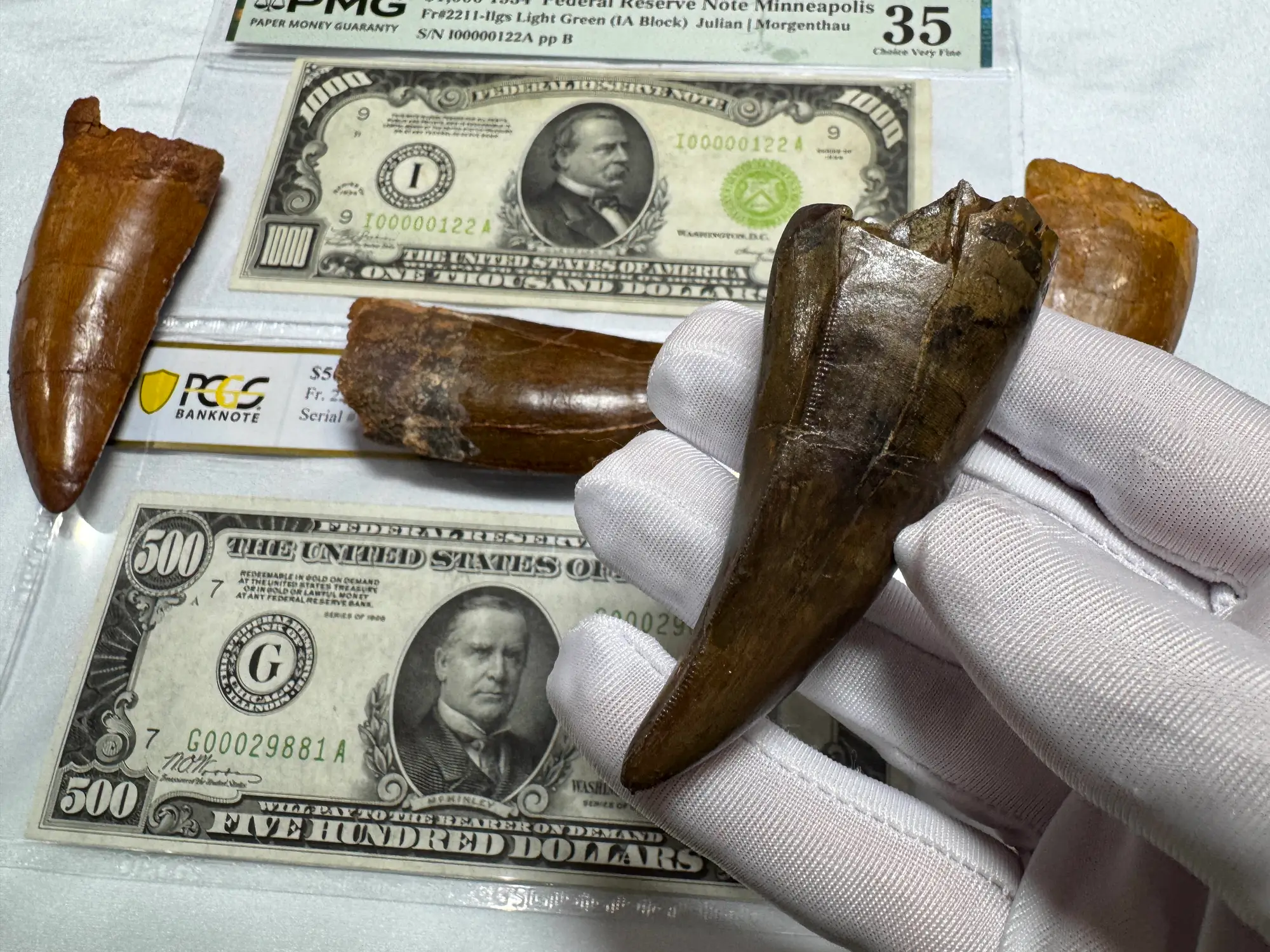 Pete Larson Authentic T-Rex Tooth Tyrannosaurus Rex *Restorations* 20