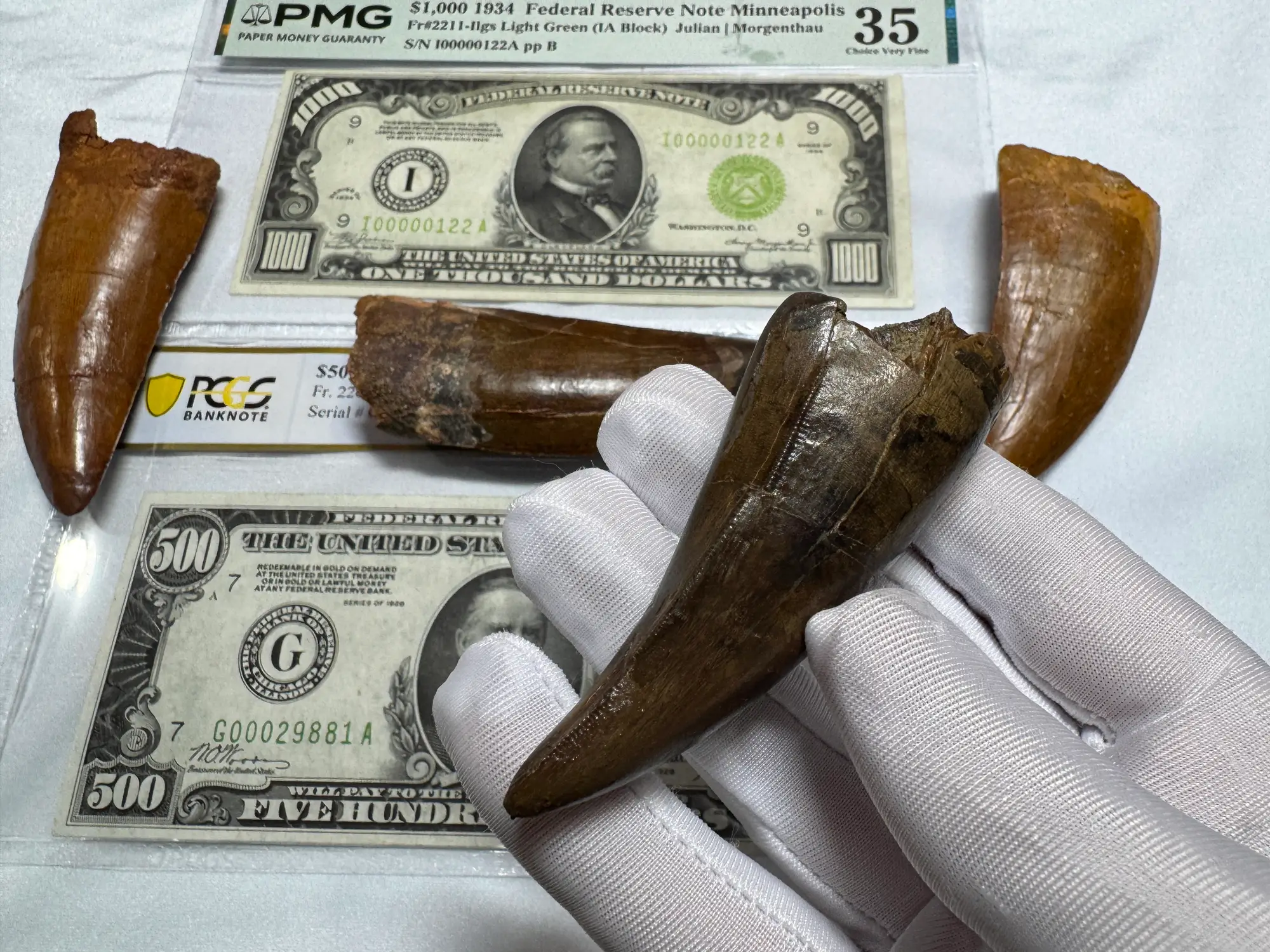 Pete Larson Authentic T-Rex Tooth Tyrannosaurus Rex *Restorations* 21