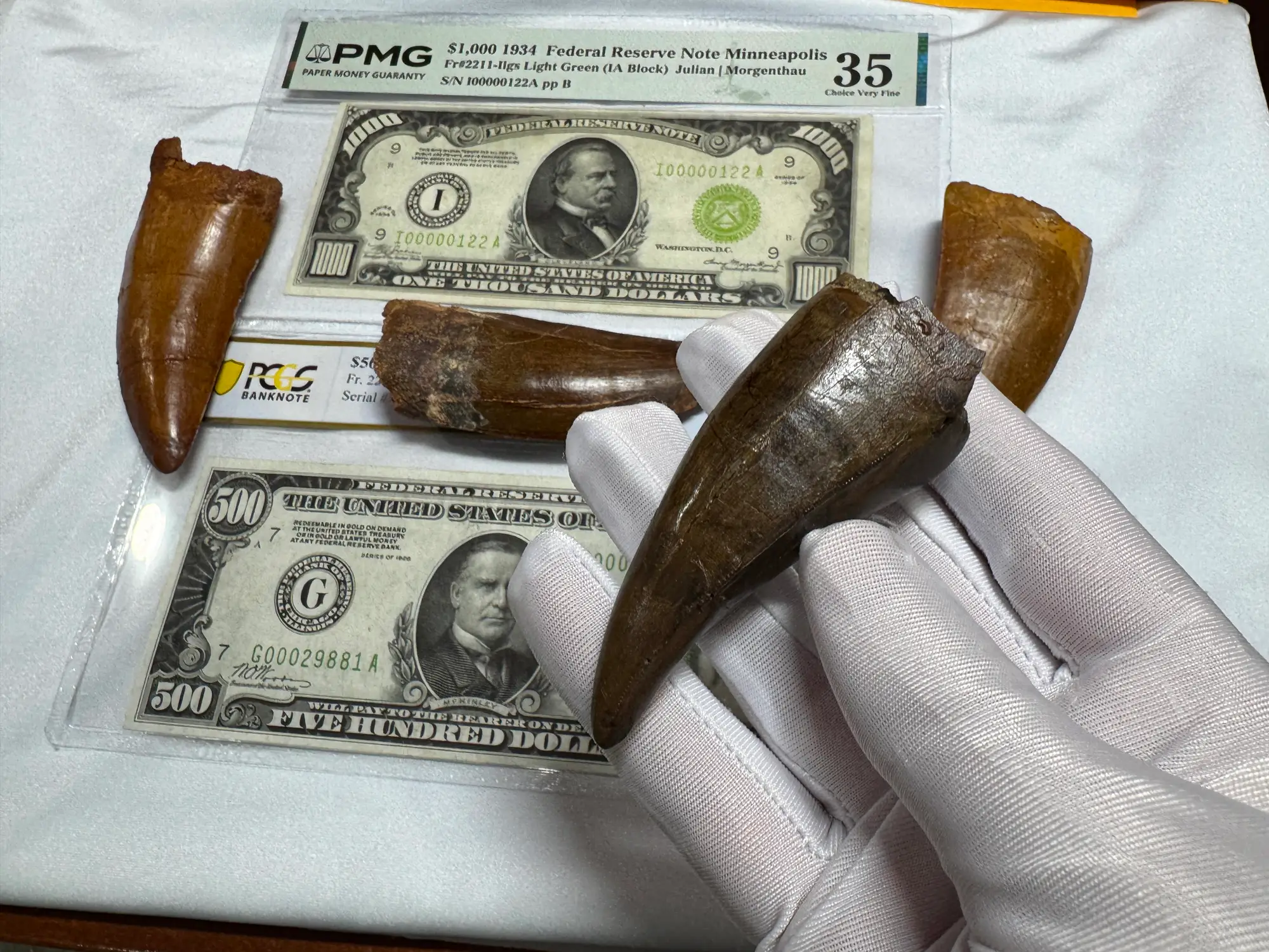 Pete Larson Authentic T-Rex Tooth Tyrannosaurus Rex *Restorations* 32