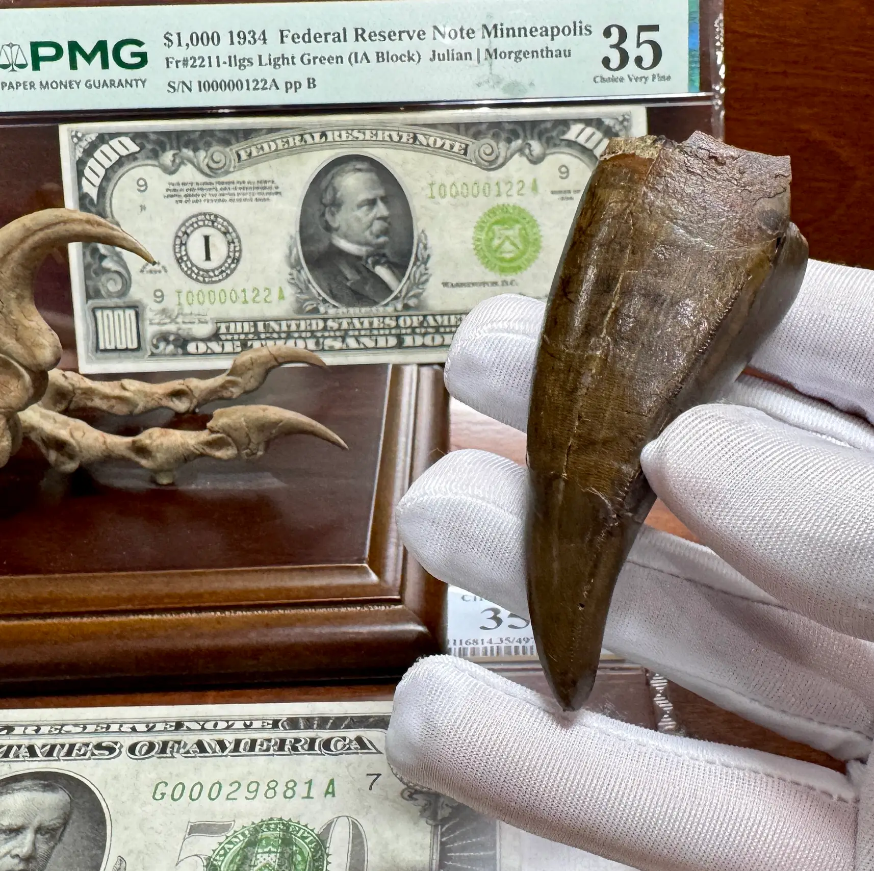 Pete Larson Authentic T-Rex Tooth Tyrannosaurus Rex *Restorations* 39