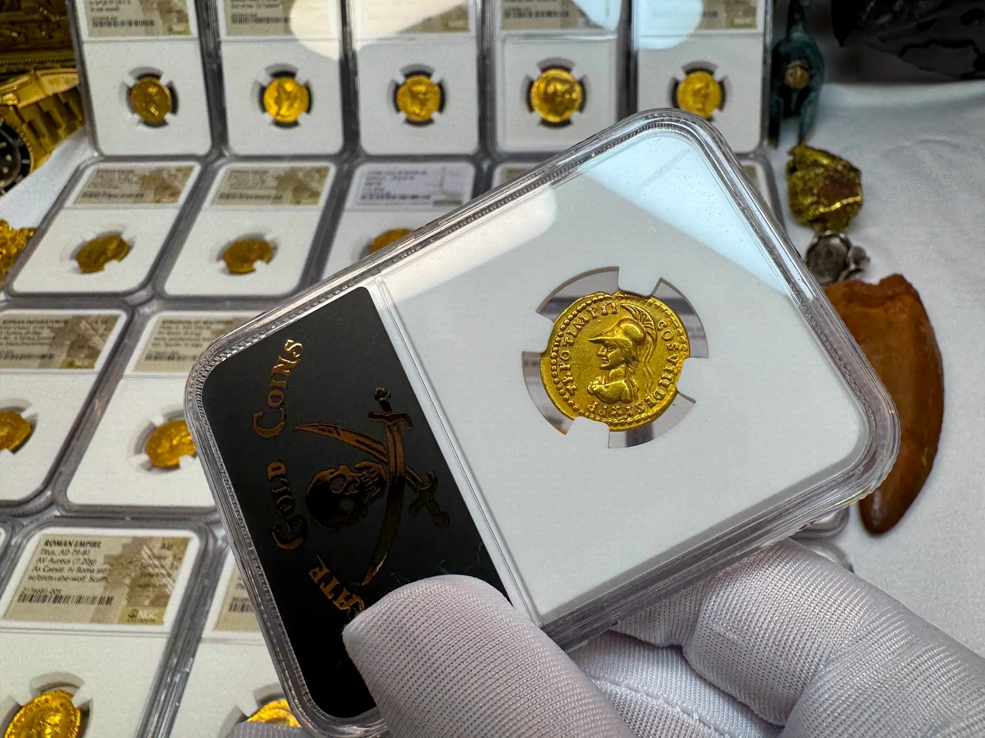 Roman Empire "Domitian- Helmeted Warrior" 12th of 12 Caesars NGC Ch F 11