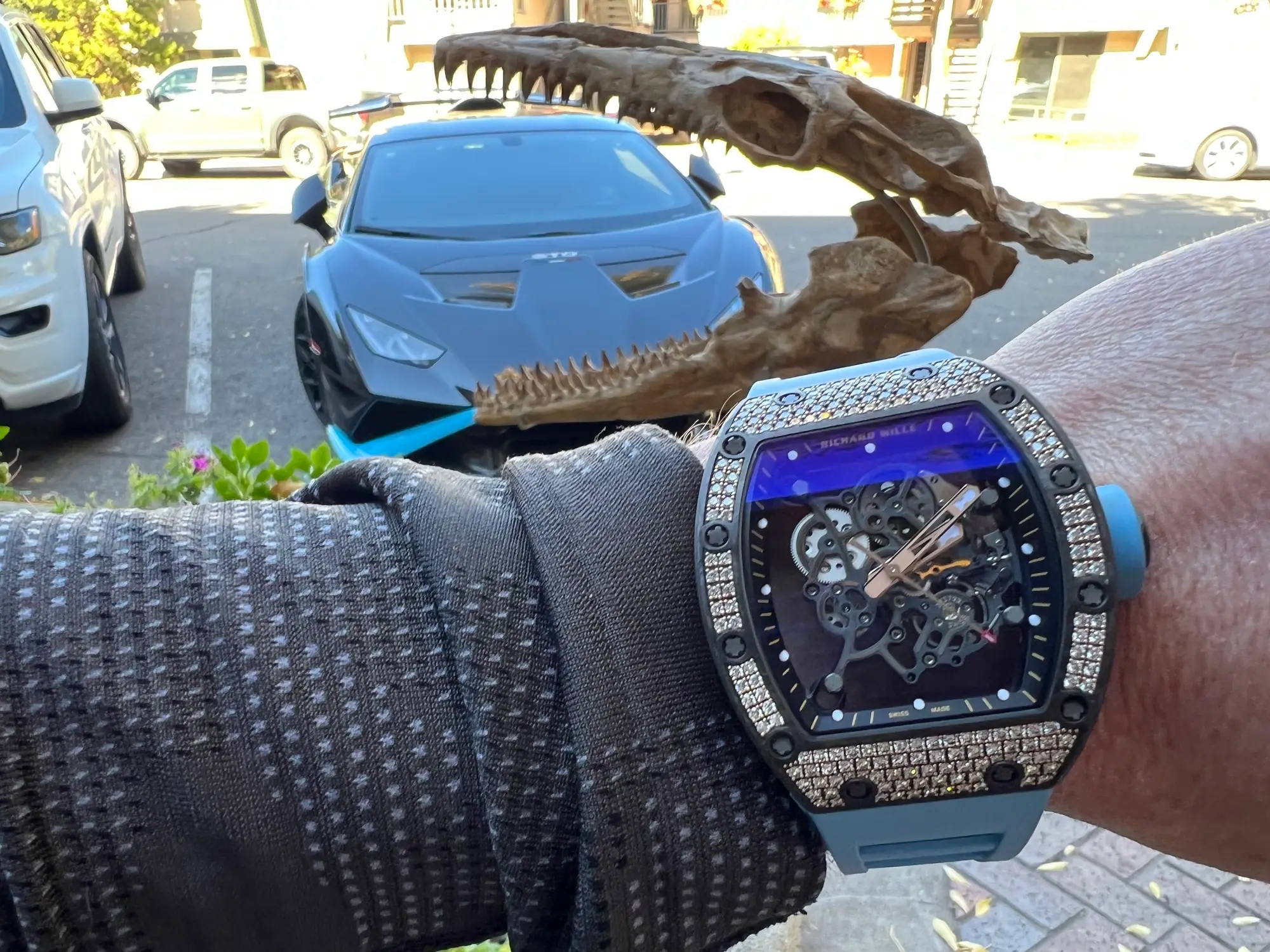 Mosasaur Skull Dinosaur Fossil 12