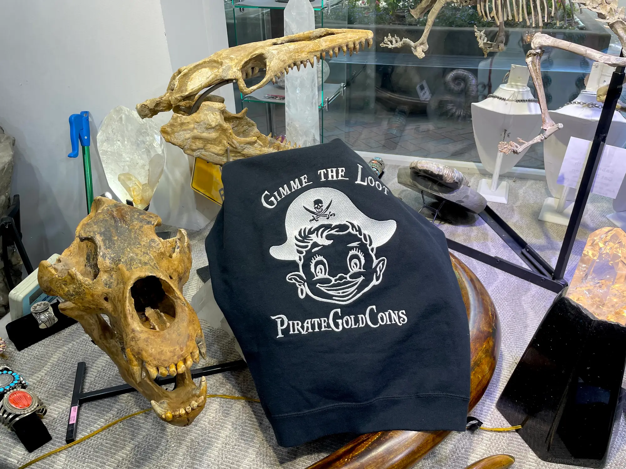 Mosasaur Skull Dinosaur Fossil 20