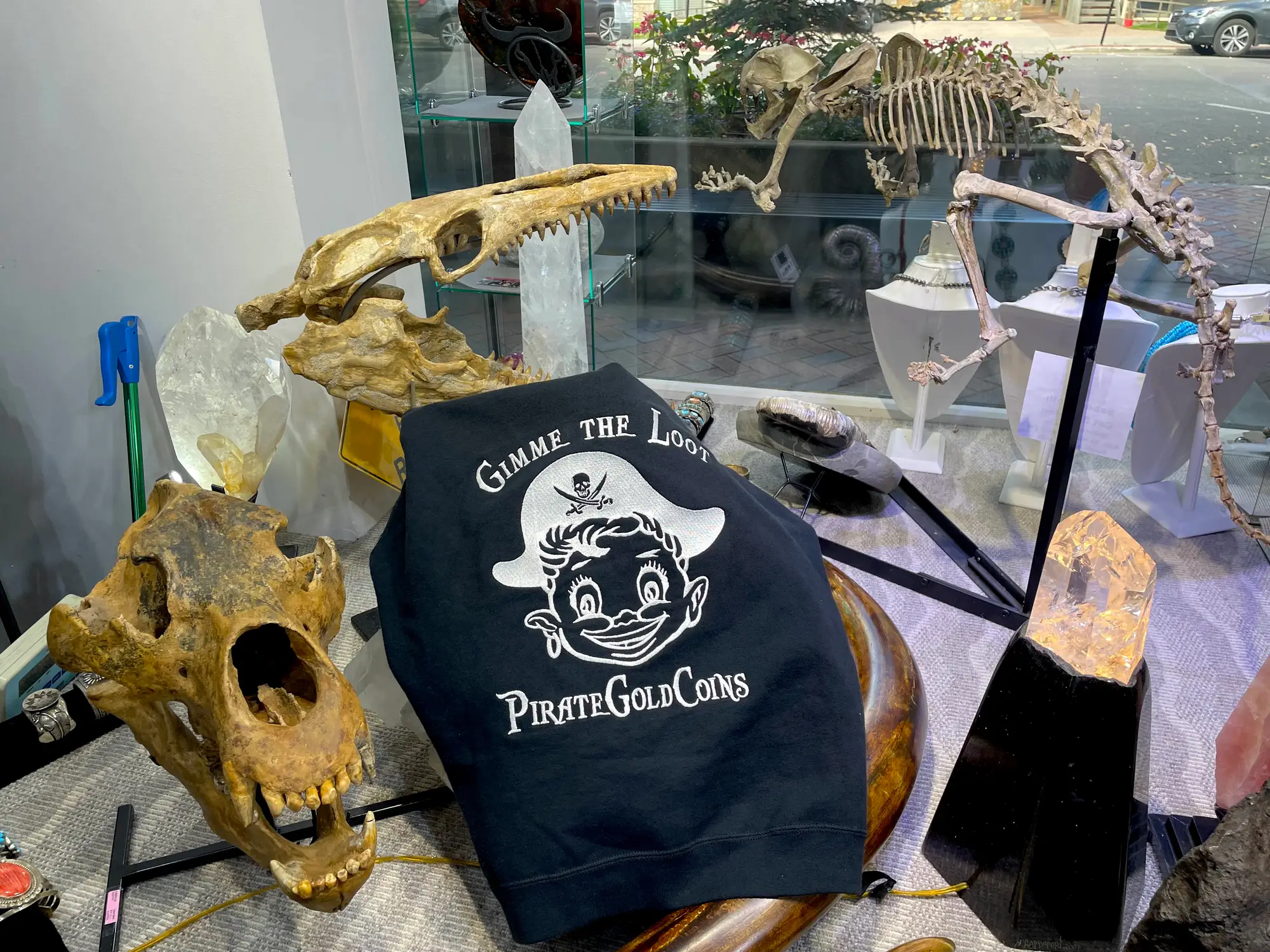 Mosasaur Skull Dinosaur Fossil 21