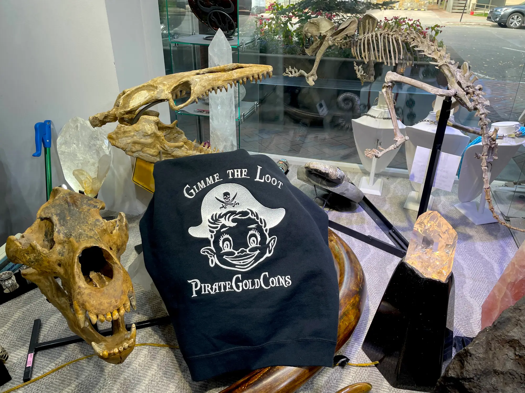 Mosasaur Skull Dinosaur Fossil 22