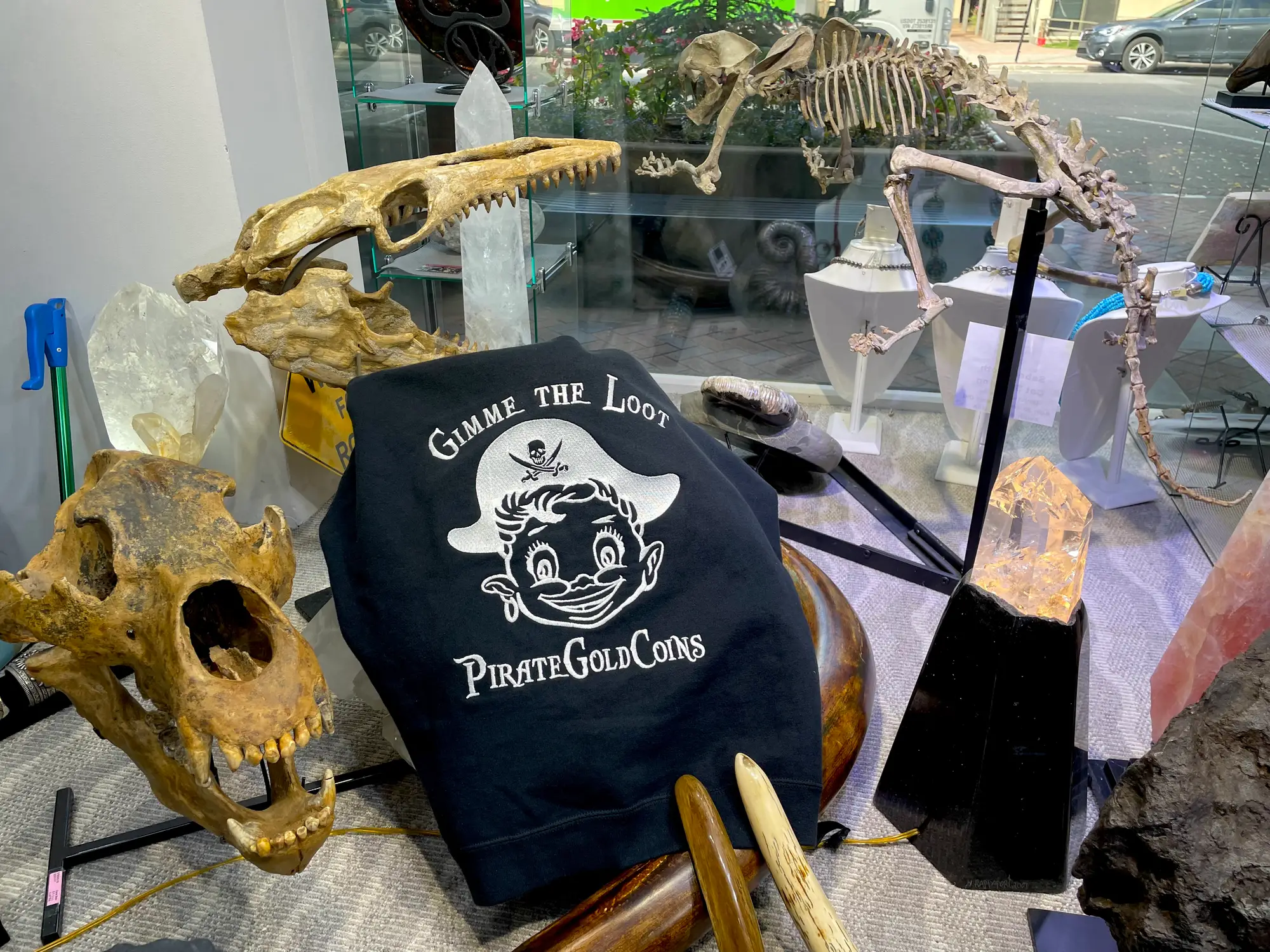 Mosasaur Skull Dinosaur Fossil 23