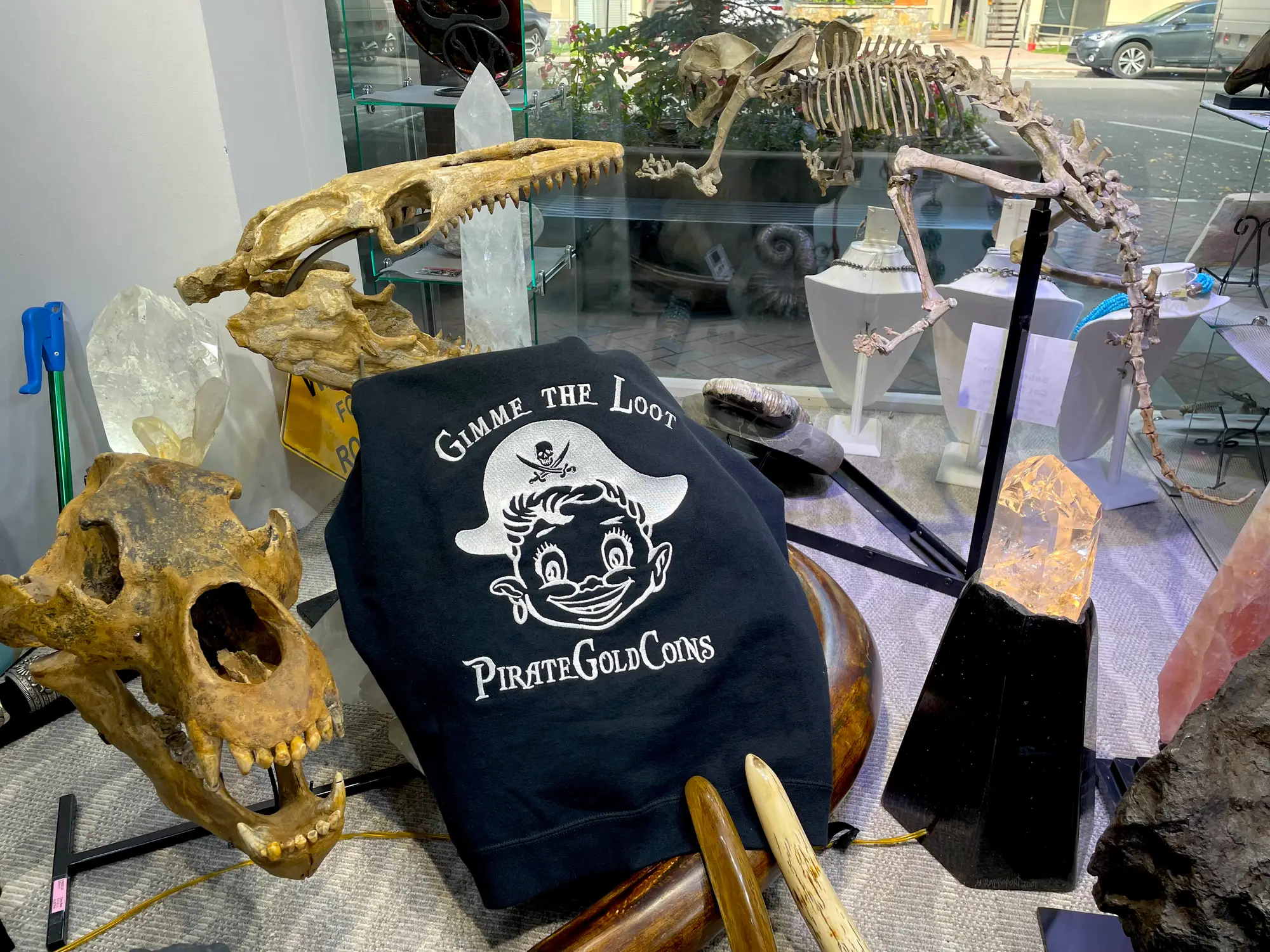 Mosasaur Skull Dinosaur Fossil 24