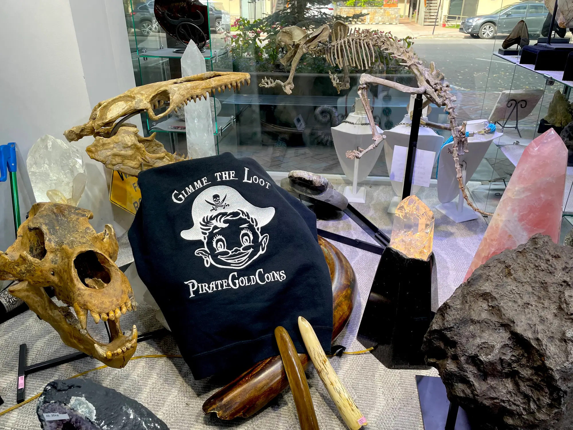 Mosasaur Skull Dinosaur Fossil 29