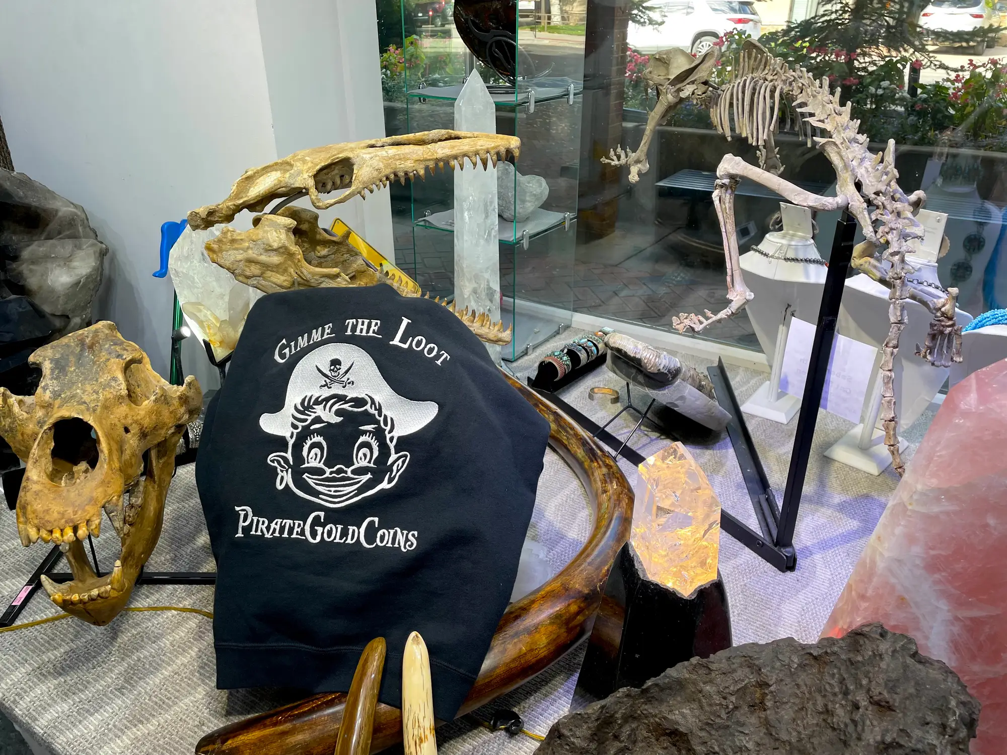 Mosasaur Skull Dinosaur Fossil 30