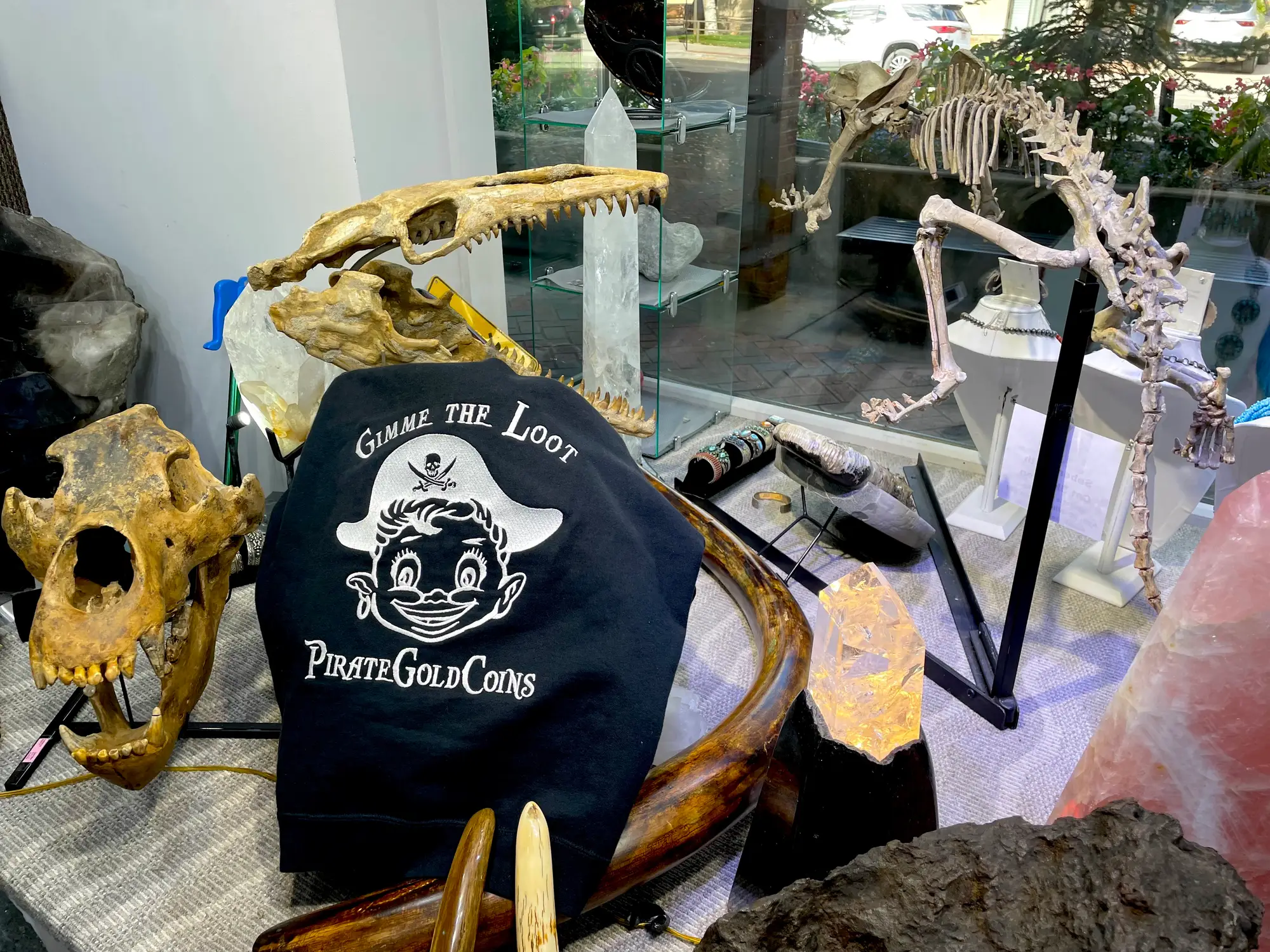 Mosasaur Skull Dinosaur Fossil 31