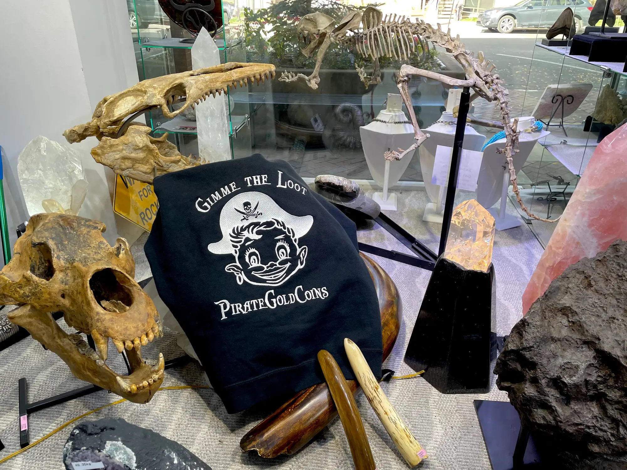 Mosasaur Skull Dinosaur Fossil 32