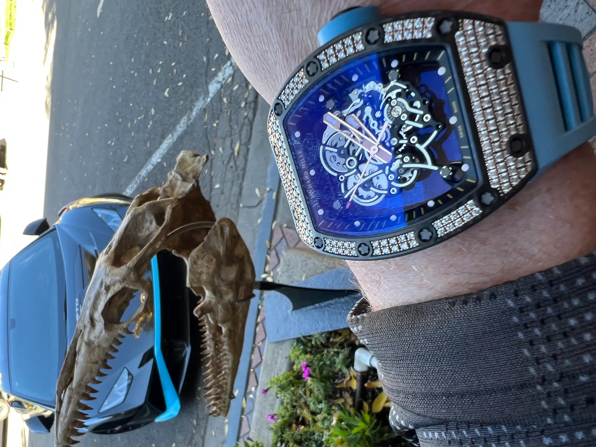 Mosasaur Skull Dinosaur Fossil 27