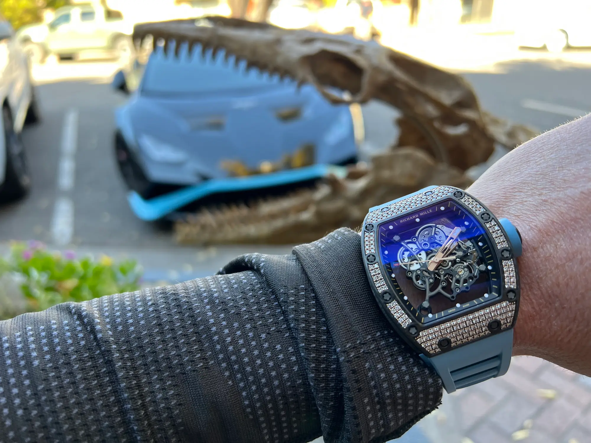 Mosasaur Skull Dinosaur Fossil 28