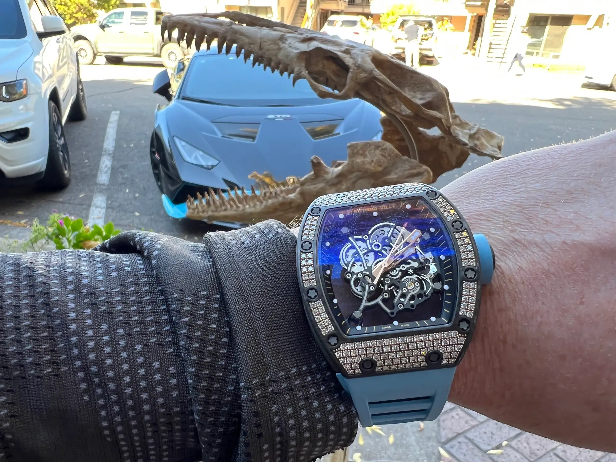 Mosasaur Skull Dinosaur Fossil 6