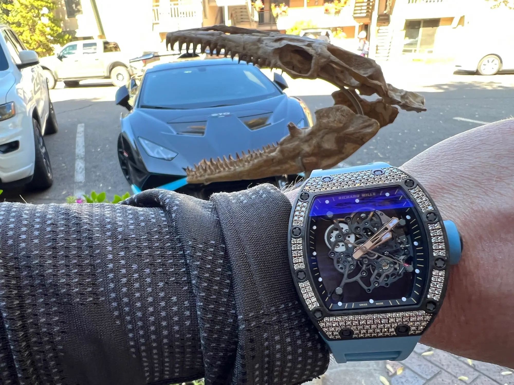 Mosasaur Skull Dinosaur Fossil 5