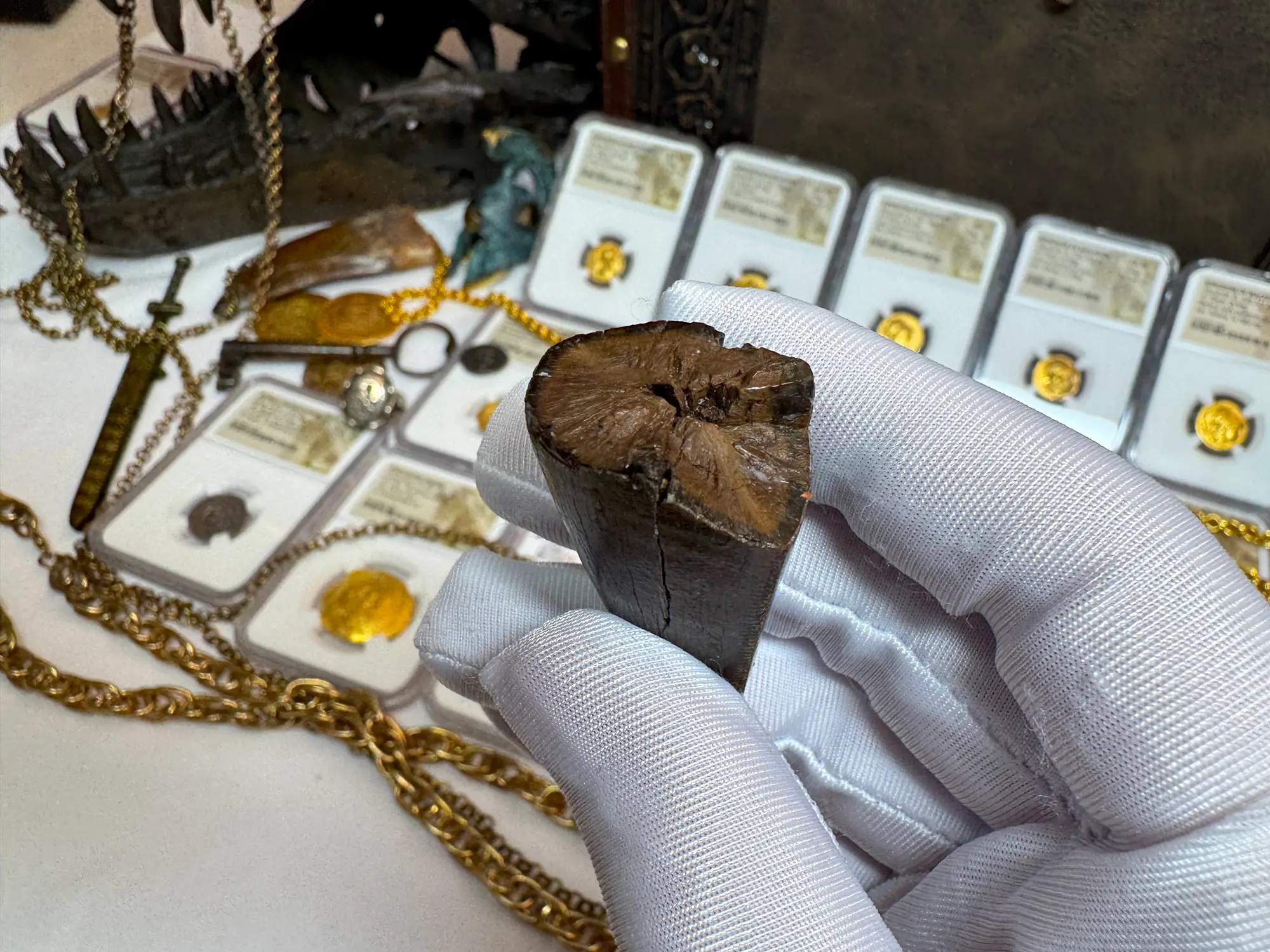 Authentic T-Rex Tooth *Pete Larson* Unrestored!  22