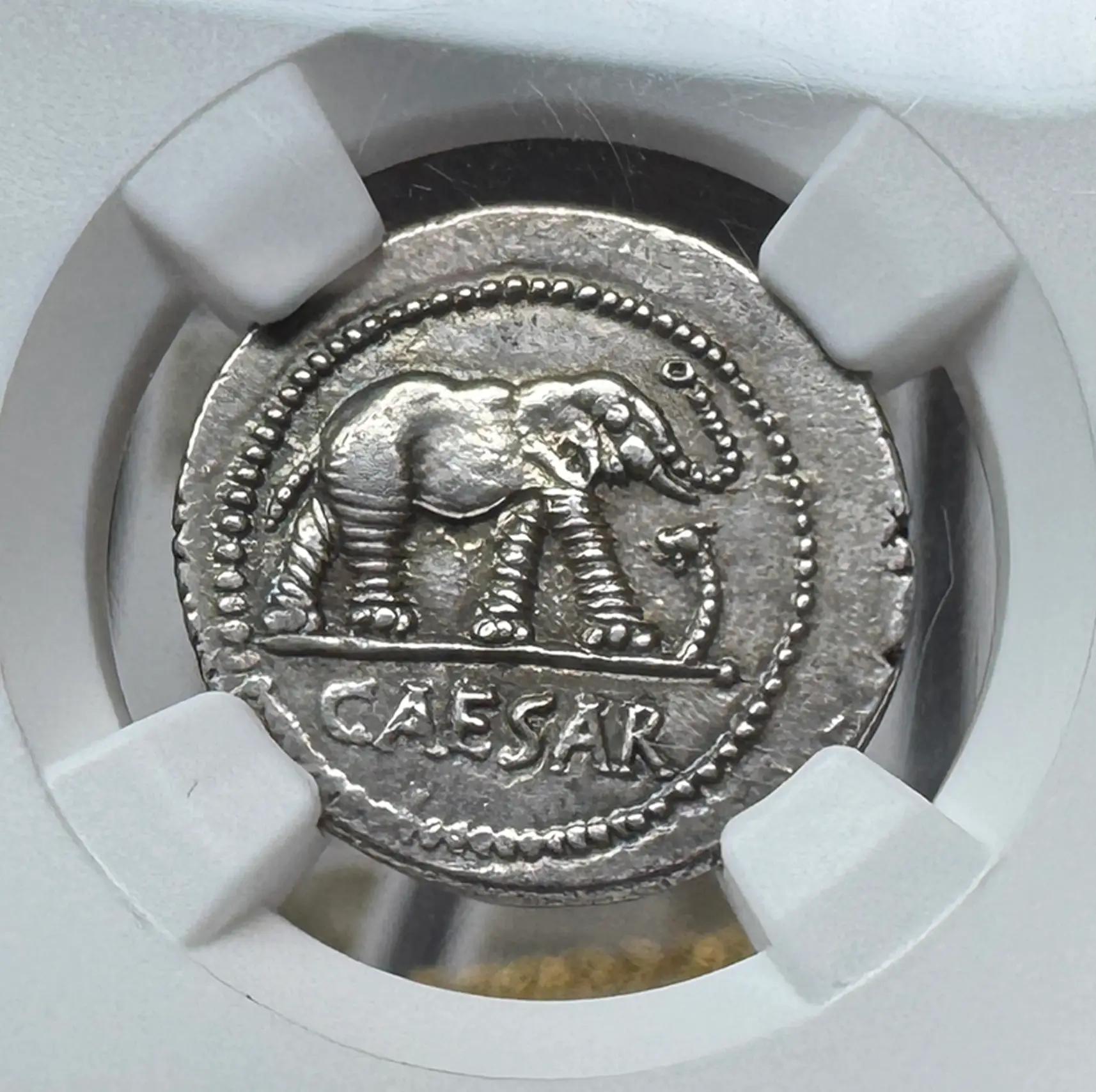 Roman Imperatorial "Caesar Elephant" 44BC Denarius NGC AU ★