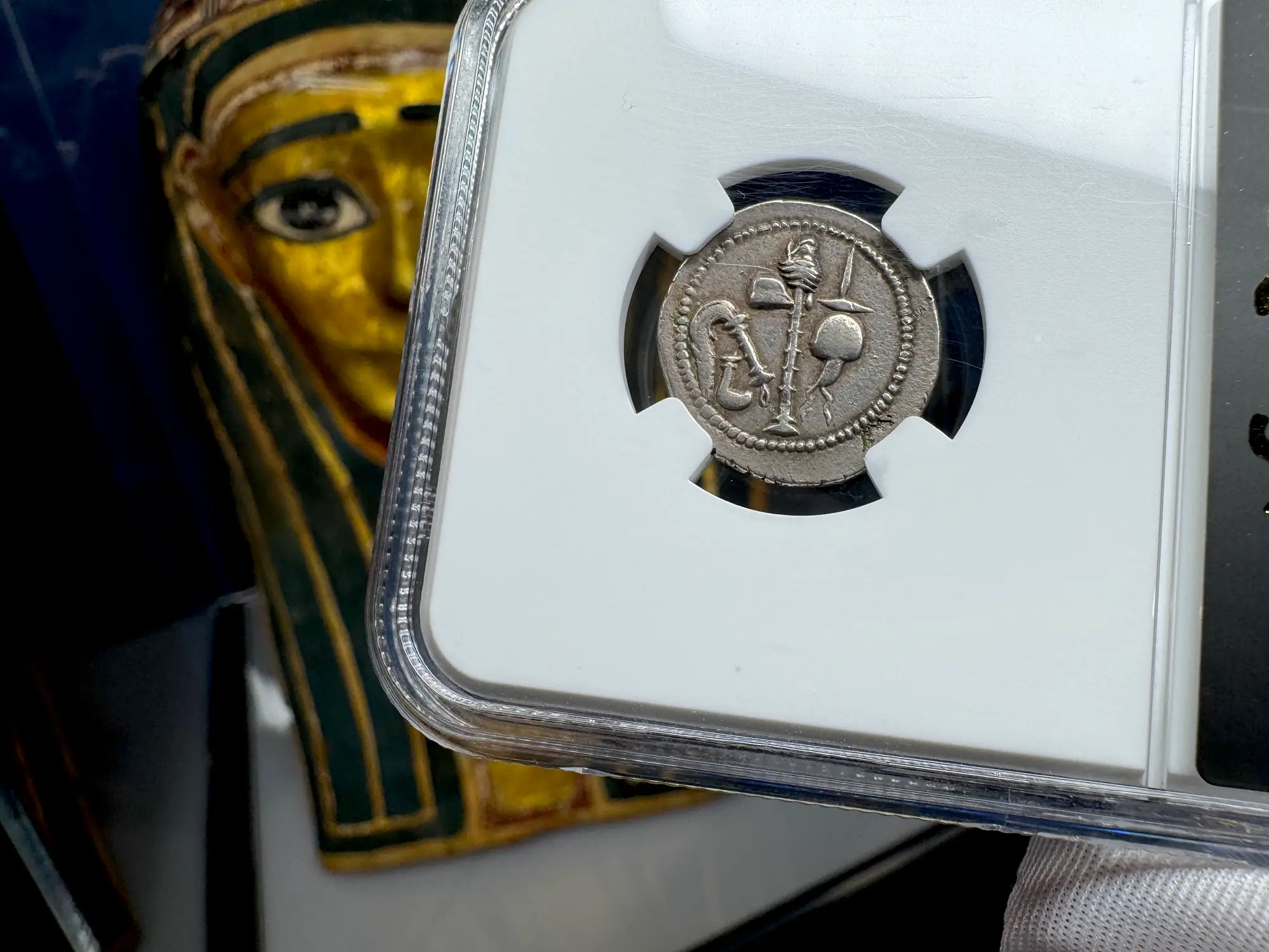 Roman Imperatorial "Caesar Elephant" 44BC Denarius NGC AU ★ 19