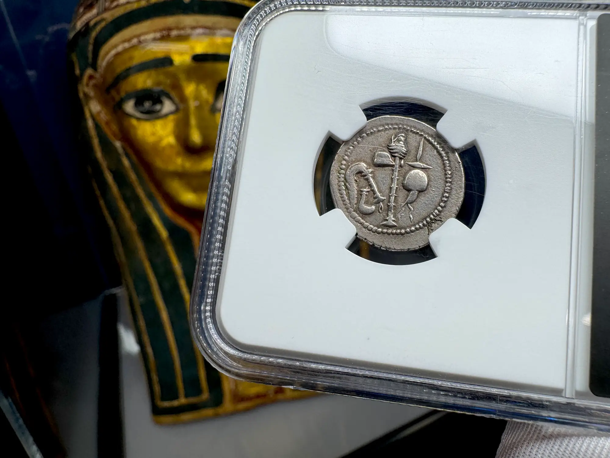 Roman Imperatorial "Caesar Elephant" 44BC Denarius NGC AU ★ 20