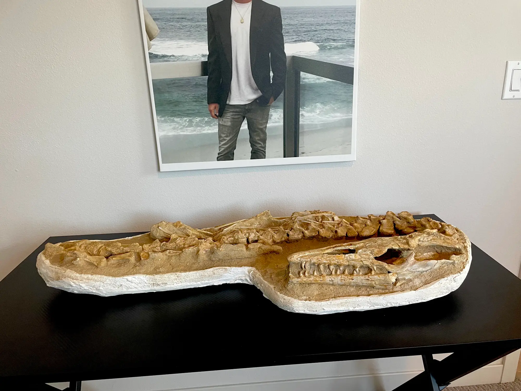 Mosasaur Matrix Dinosaur Fossil Mosasaurus Halisaurus Arambourgi 11