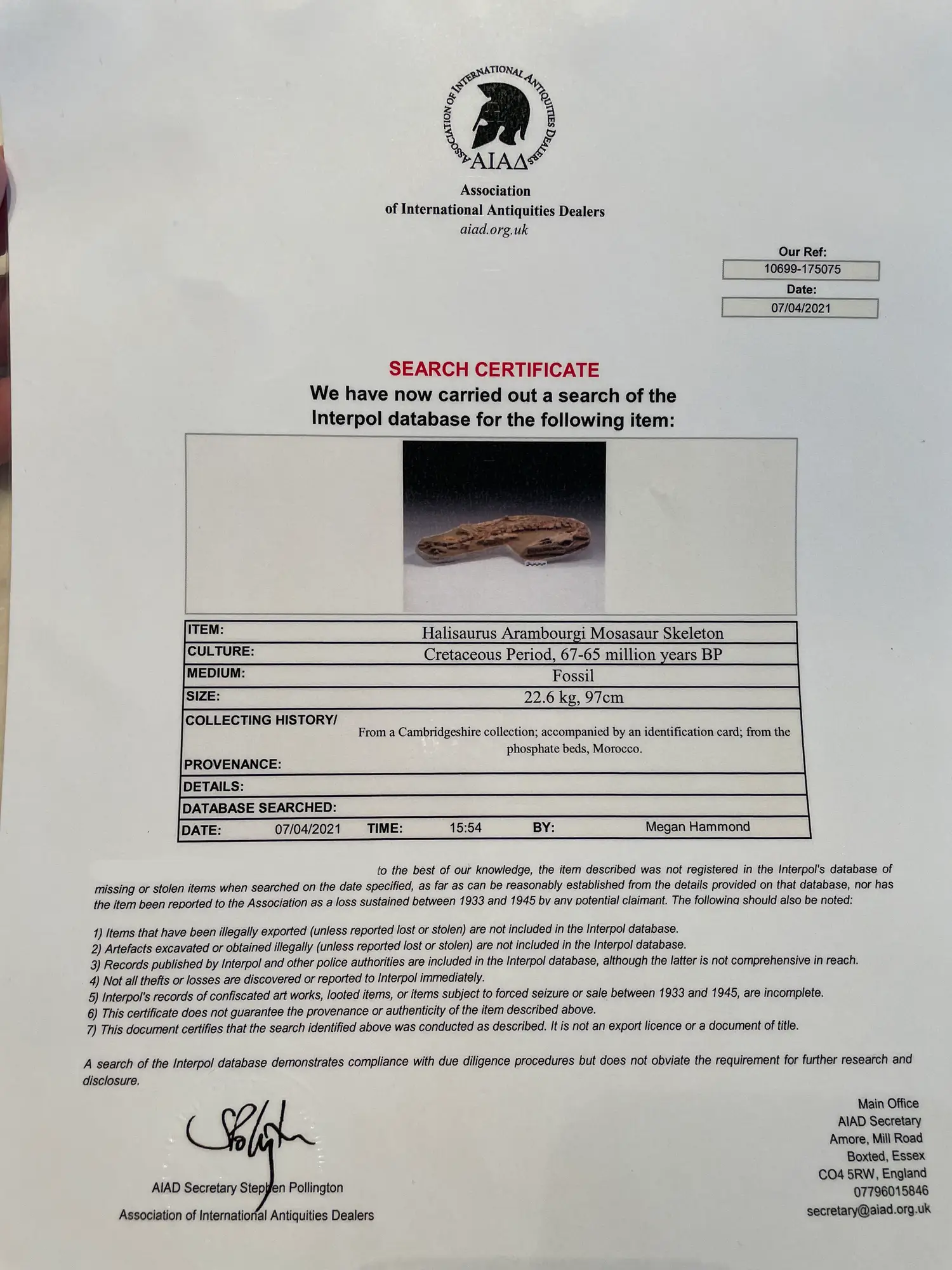 Mosasaur Matrix Dinosaur Fossil Mosasaurus Halisaurus Arambourgi 26