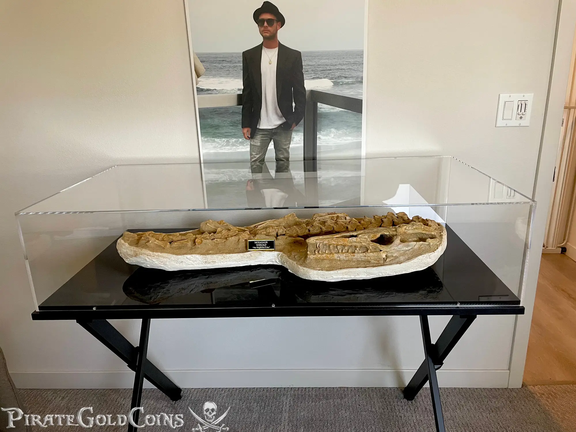 Mosasaur Matrix Dinosaur Fossil Mosasaurus Halisaurus Arambourgi 15