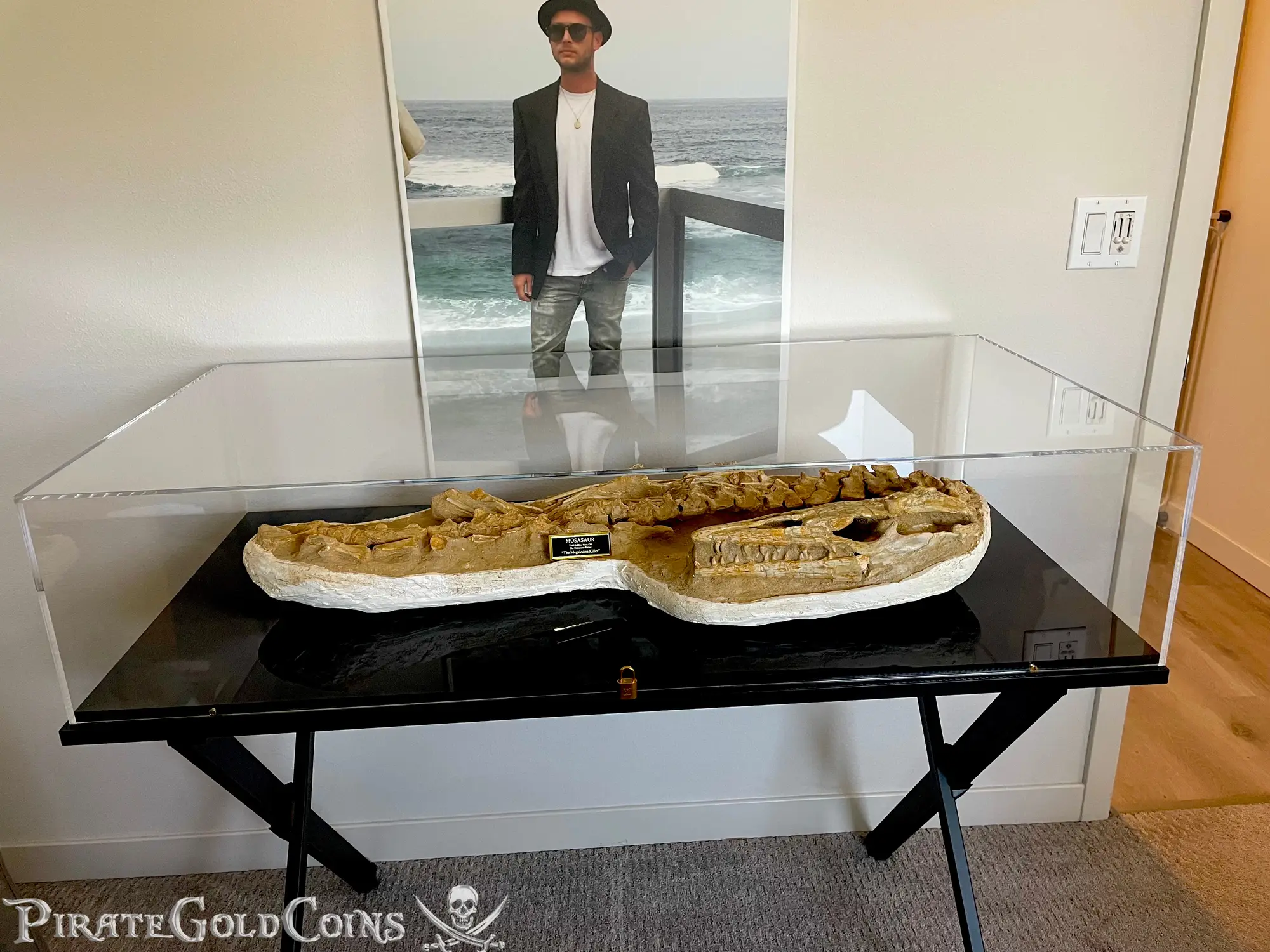 Mosasaur Matrix Dinosaur Fossil Mosasaurus Halisaurus Arambourgi 17