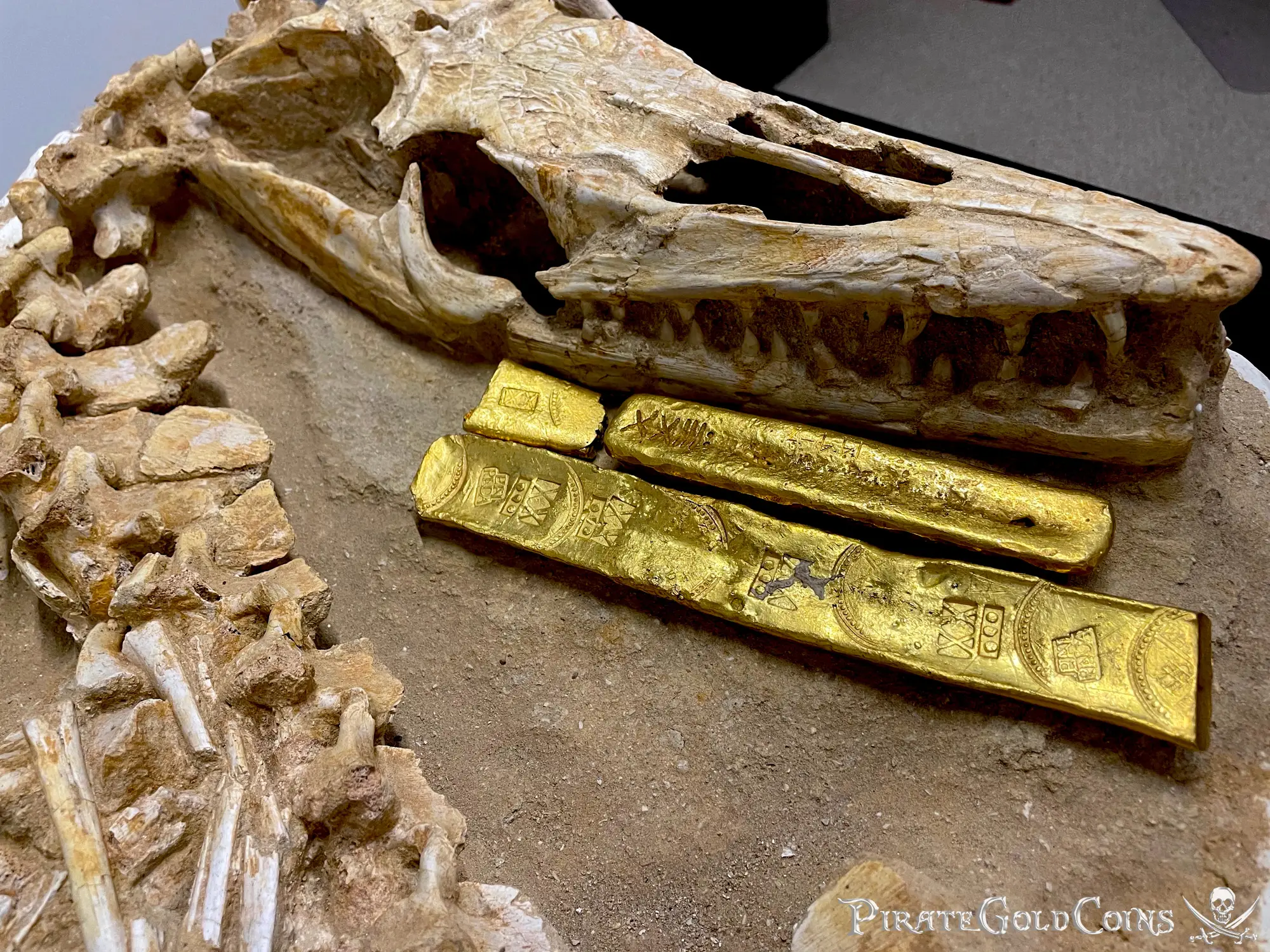 Mosasaur Matrix Dinosaur Fossil Mosasaurus Halisaurus Arambourgi